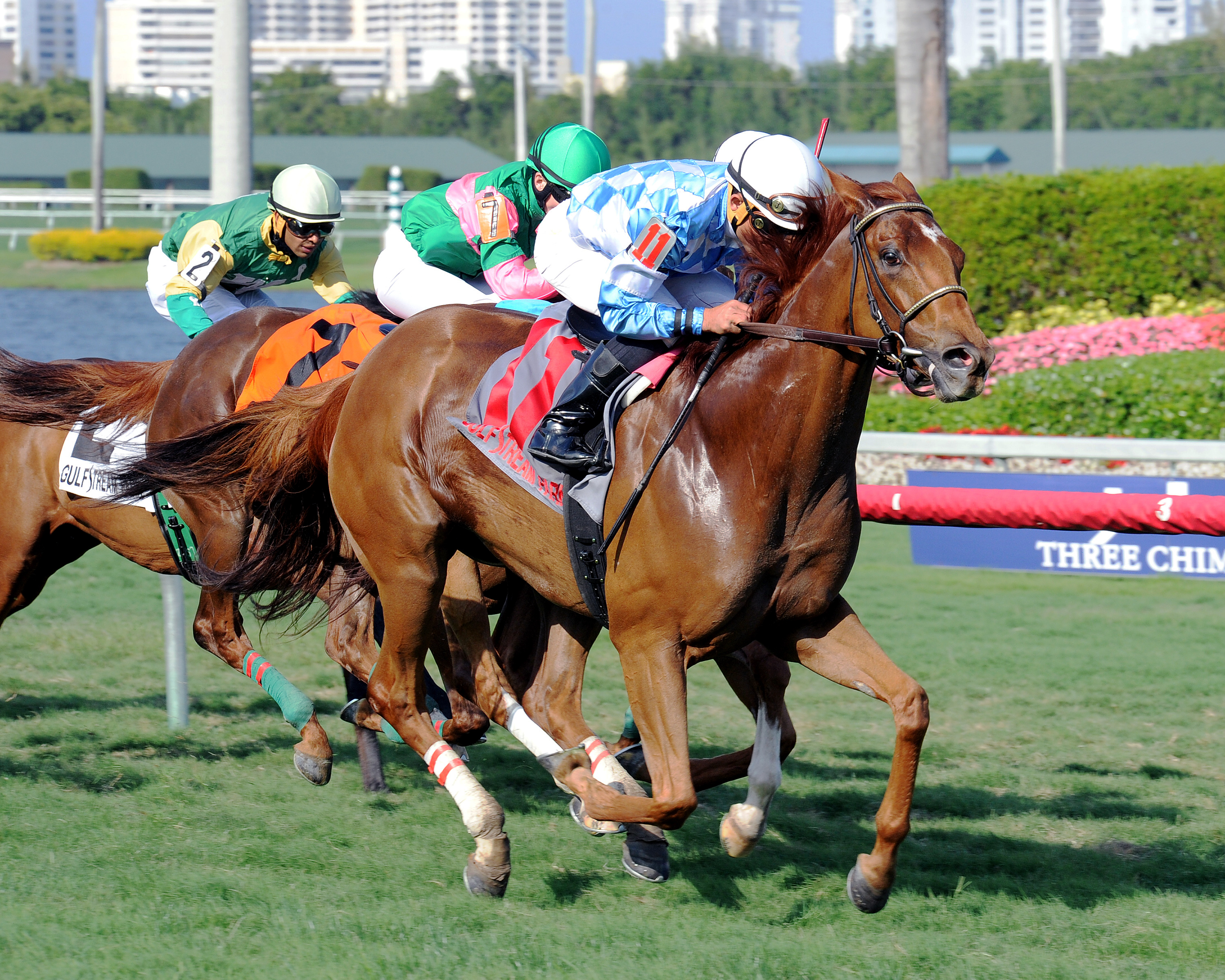 Free as a Bird wins the Captiva Handicap