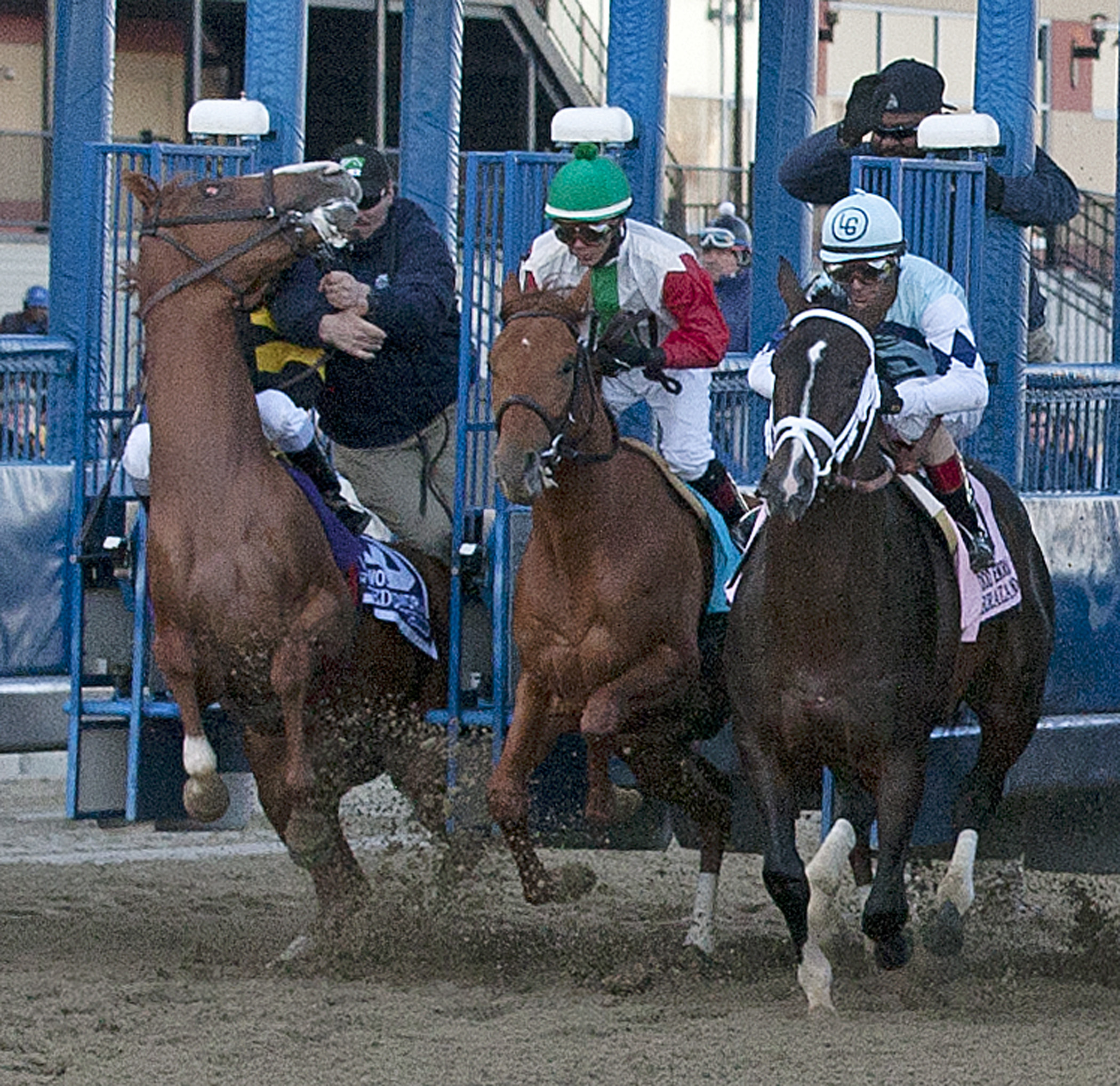 Belmont Stakes: Missing Kentucky Derby a blessing for Freedom Child