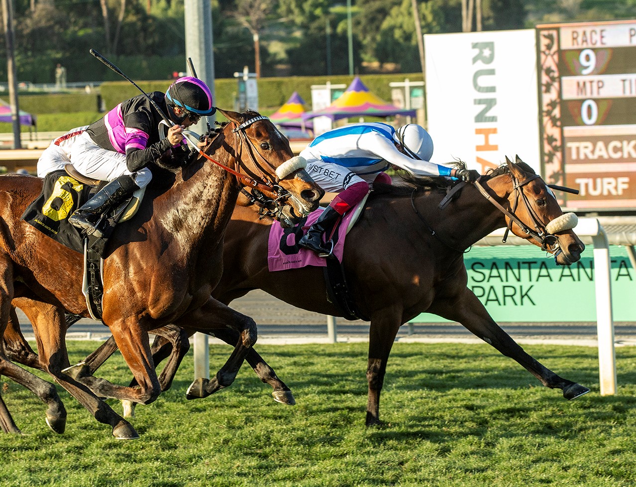 Freedom Flyer wins Wishing Well Stakes at SA Feb 18 2023