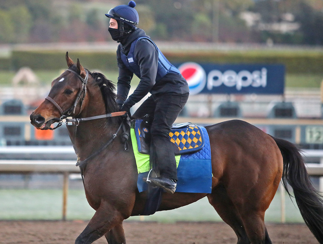 Freedom Fighter at Santa Anita Park on Jan. 30