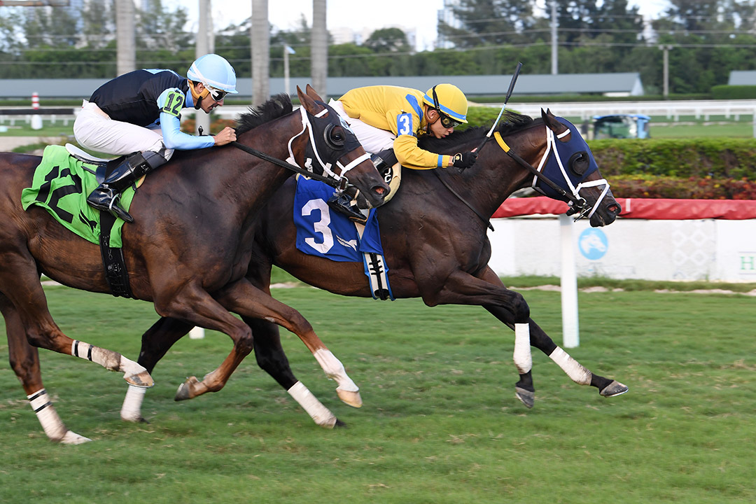 Freedom Matters wins an Aug. 7 optional claiming race at Gulfstream Park