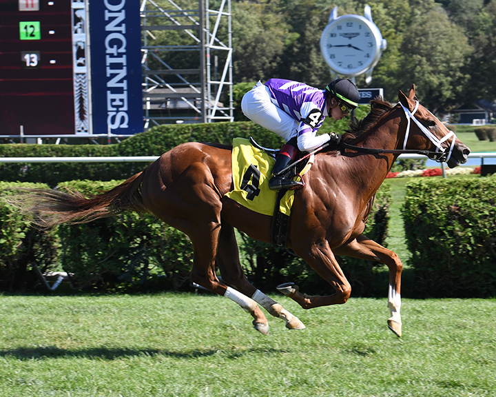 Freewheeler wins a Aug. 30 maiden race at Saratoga Race Course
