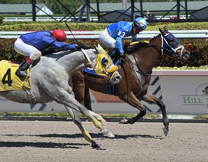 French Quarter wins a March 21 claiming race at Gulfstream Park