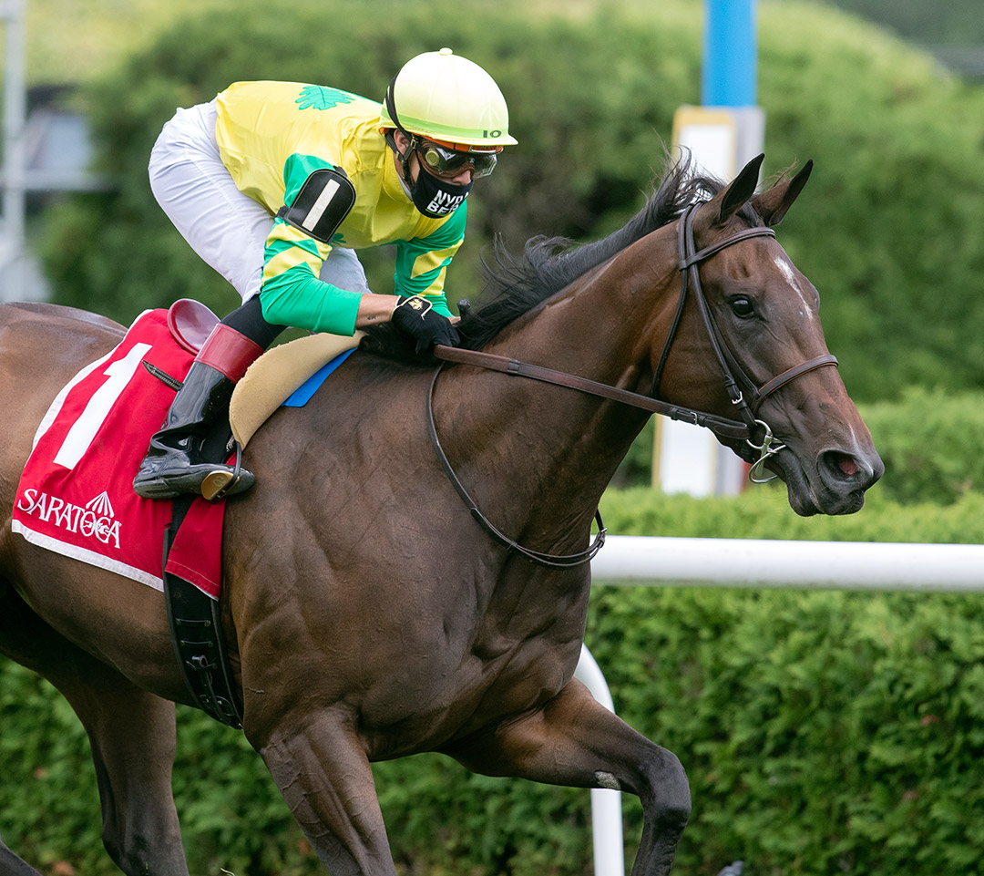 Fresco wins the 2020 New York Stallion Series Statue of Liberty at Saratoga