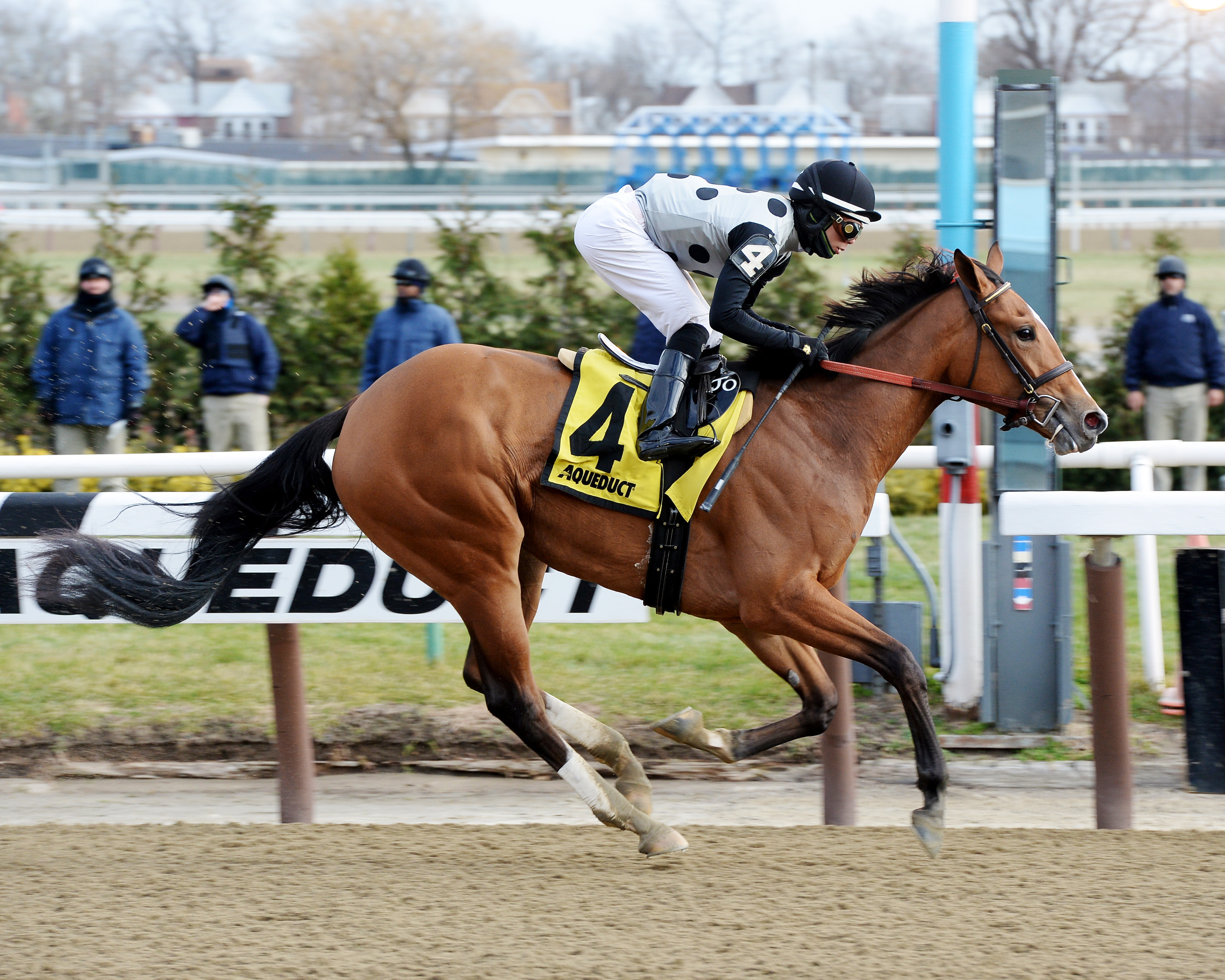 Freudie Anne wins the East View Stakes