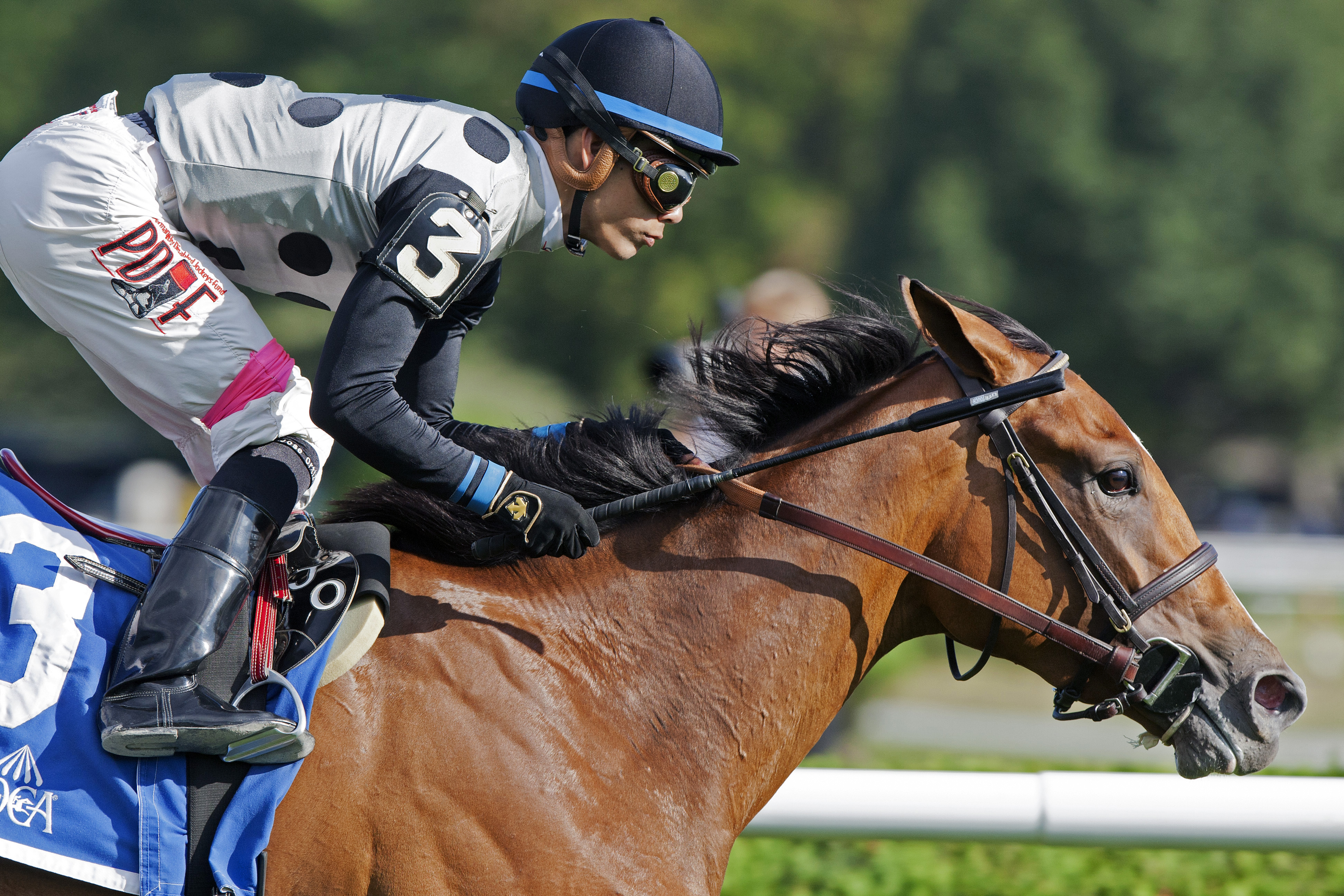 Freudie Anne wins the Statue of Liberty Stakes