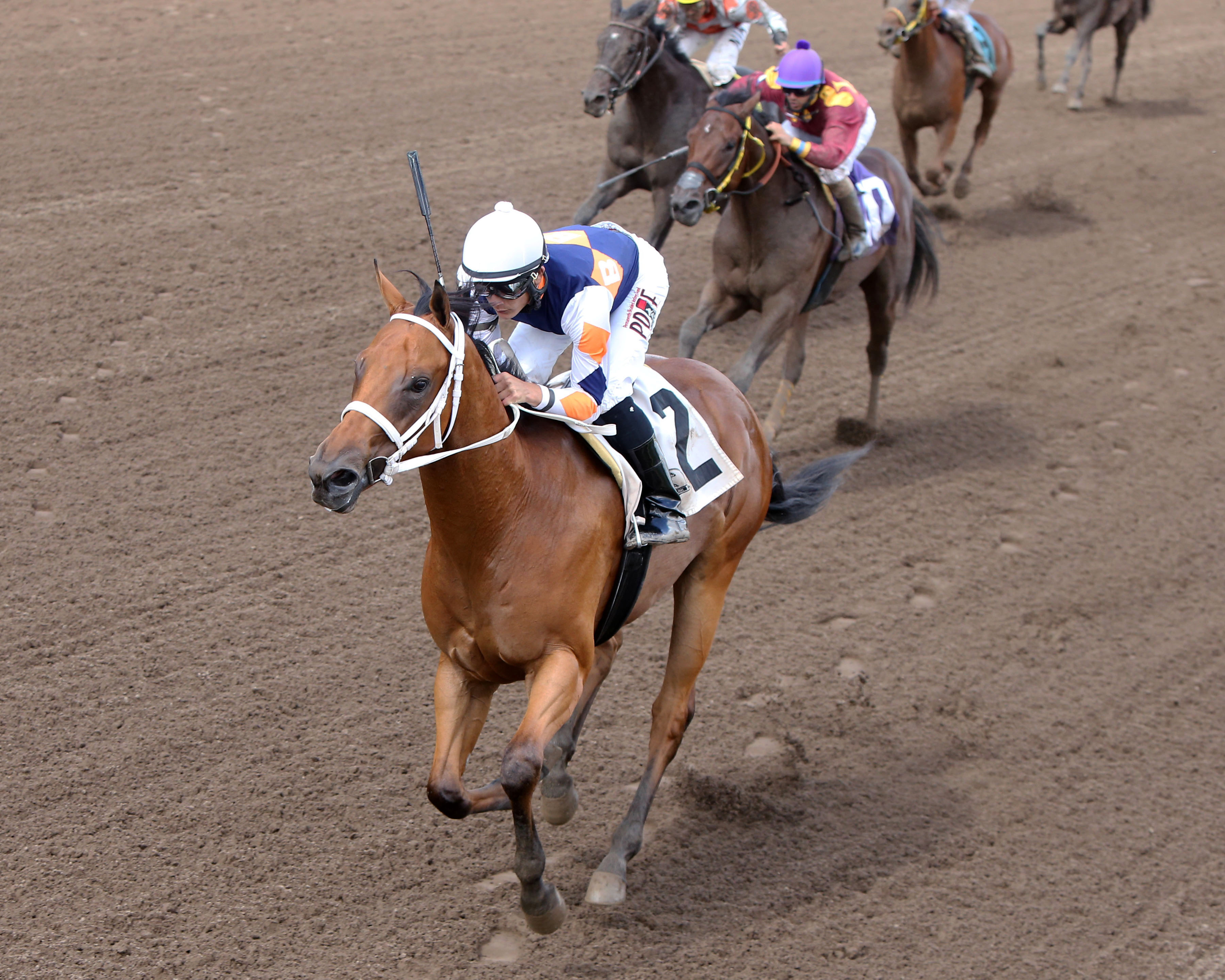 Fridaynitestar wins the MTA Sales Graduate Futurity Stakes