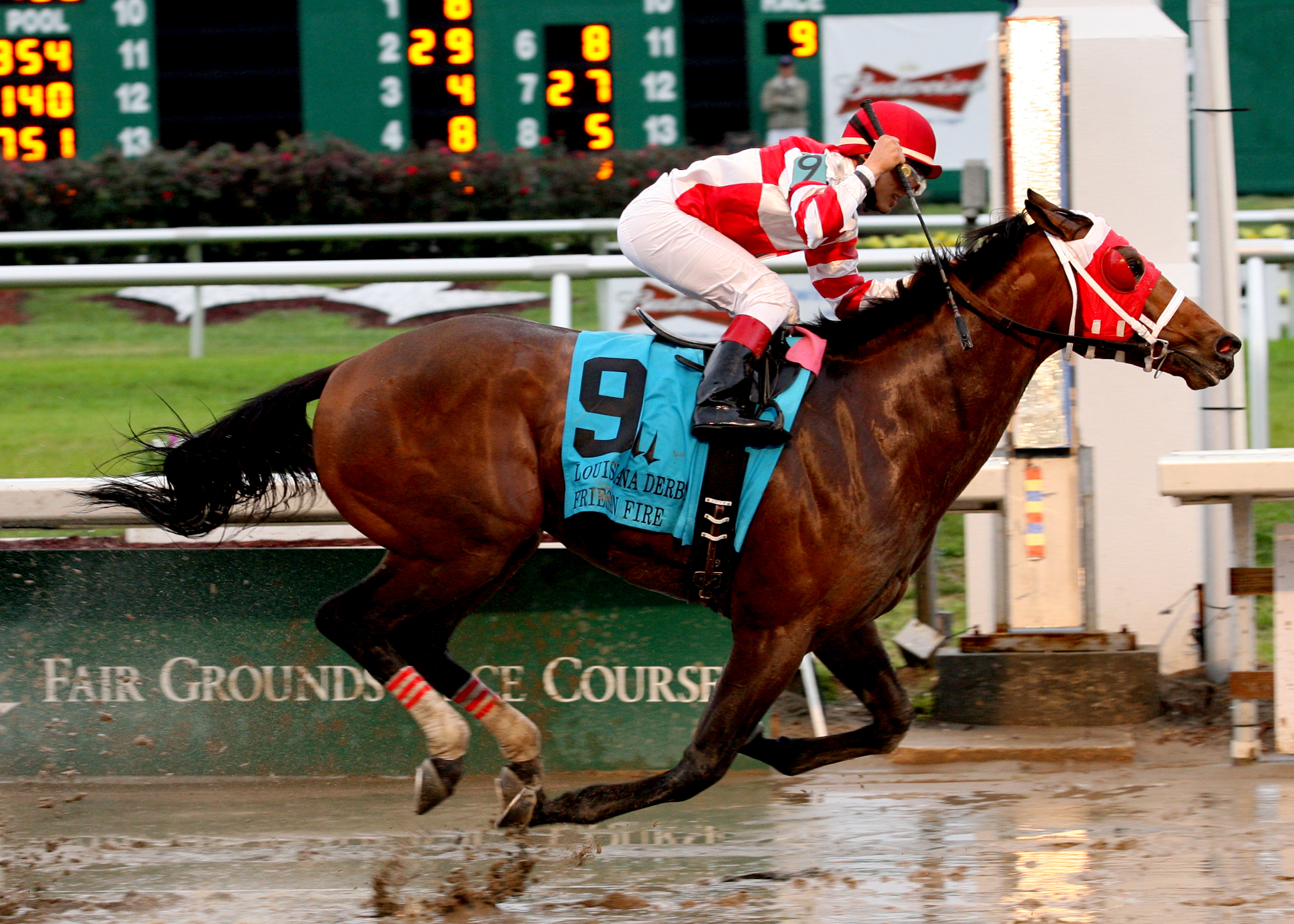 Friesan Fire/Louisiana Derby