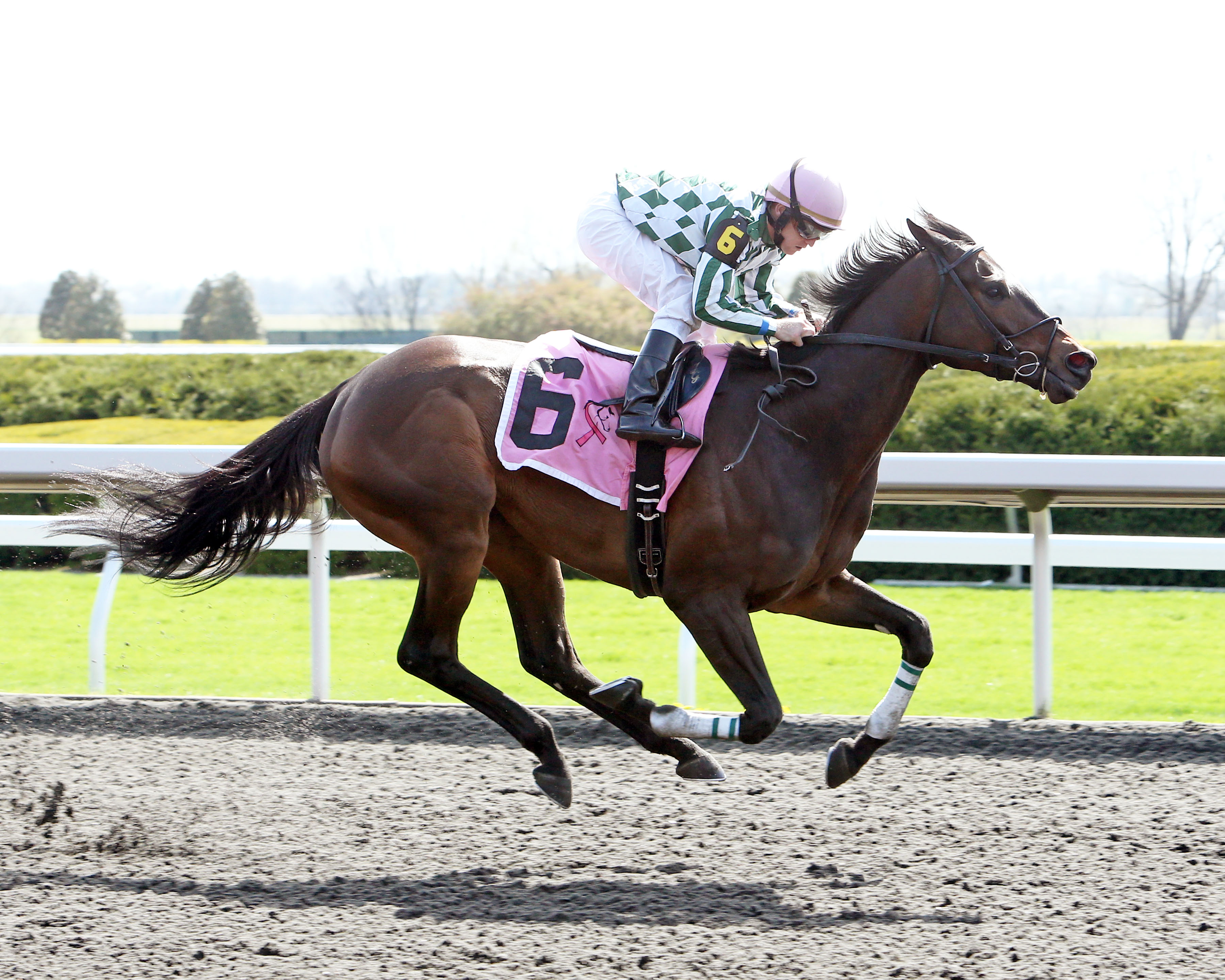 Frivolous wins an allowance race