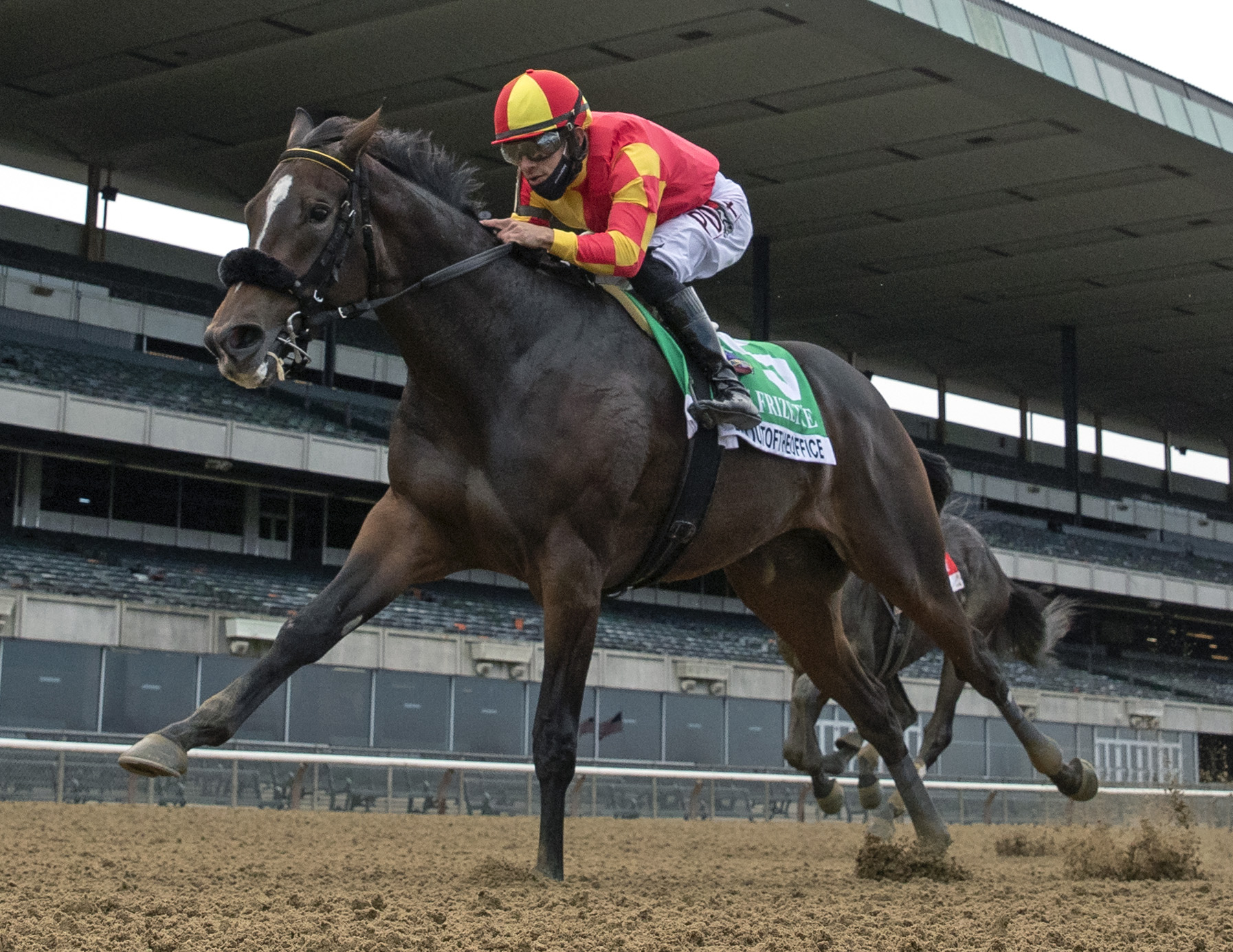 Dayoutoftheoffice wins Frizette alternate 10-10-2020