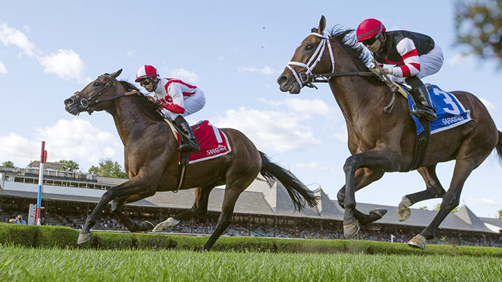 Bourbon War (right) finishes second in the 2019 Better Talk Now Stakes at Saratoga