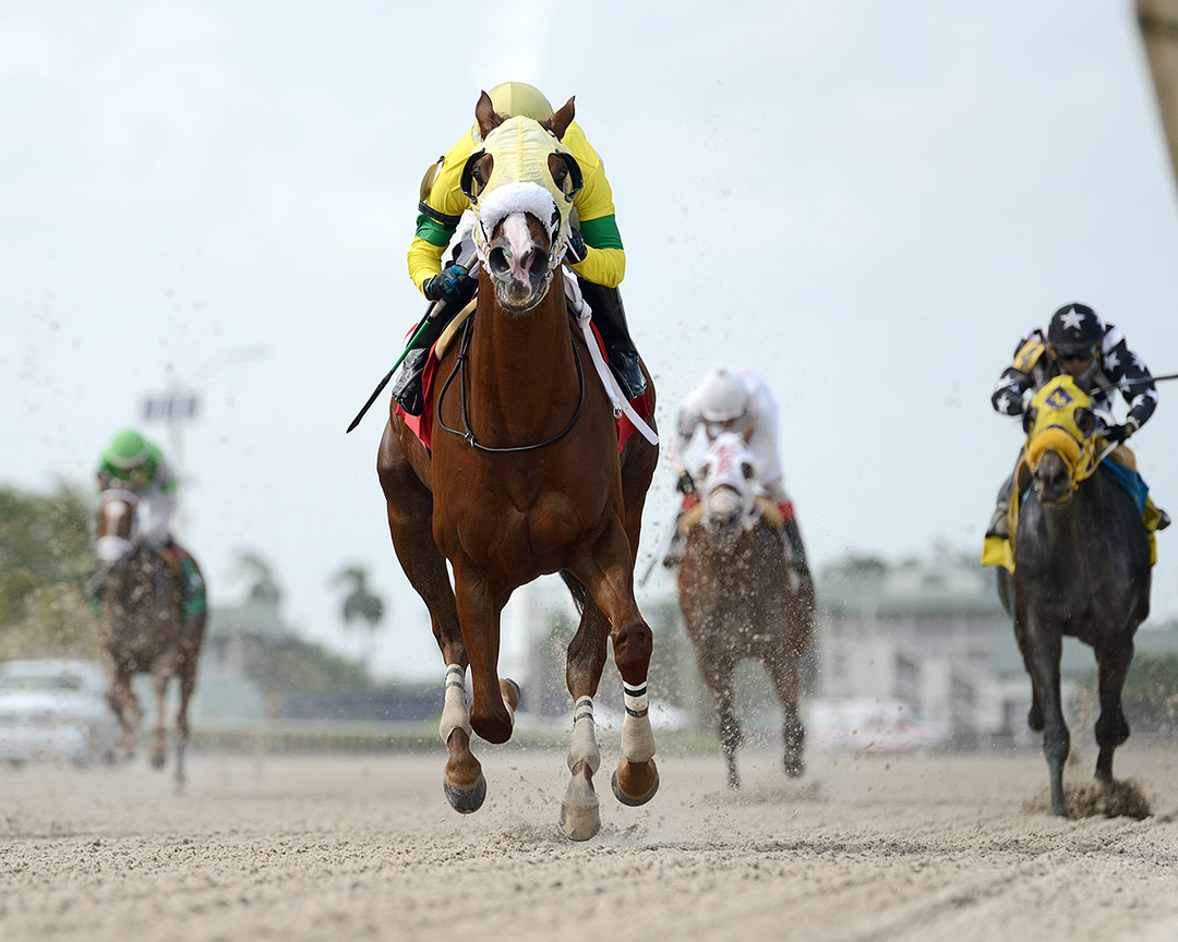 Front Loaded wins a Sept. 3, 2020 allowance race at Gulfstream
