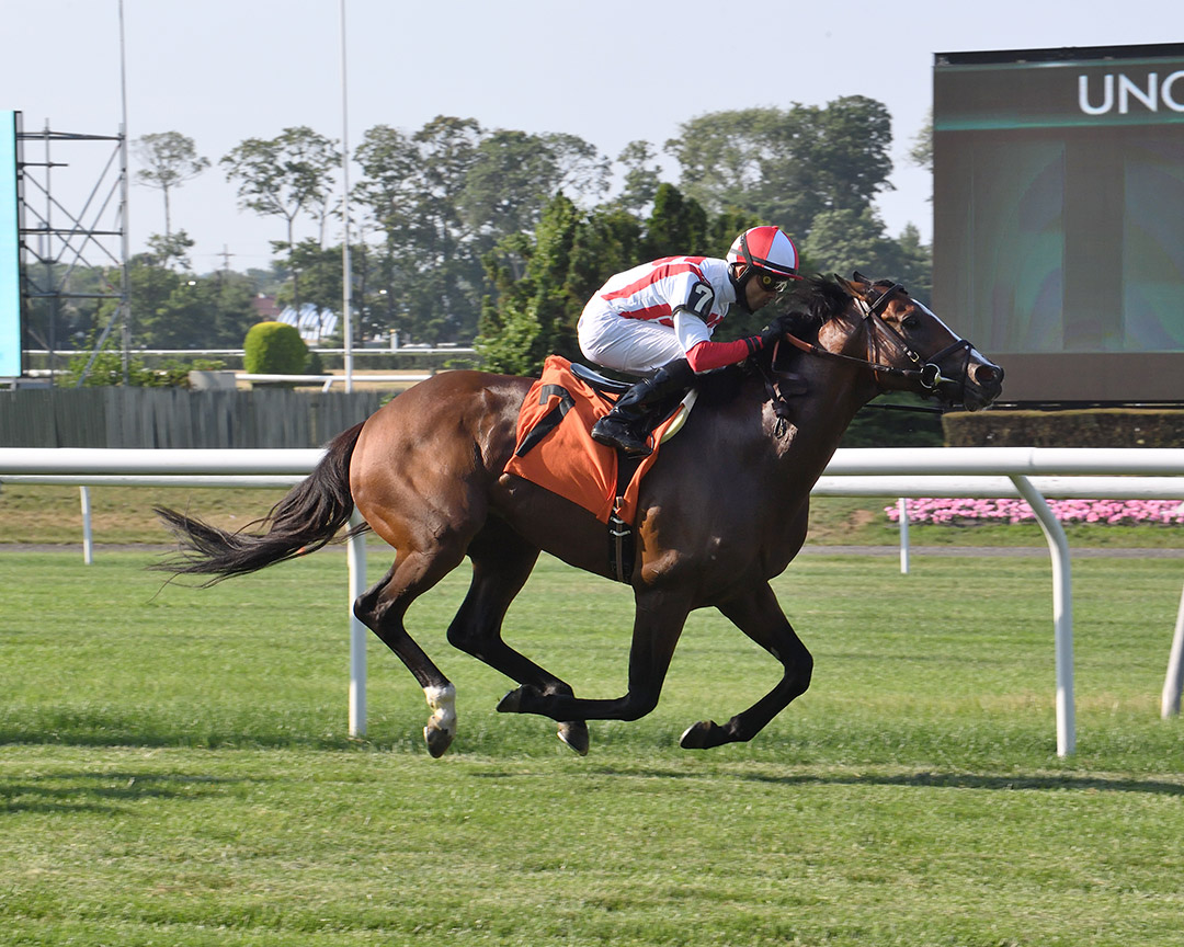 Front Run the Fed wins a 7-furlong claiming race at Belmont Park in July 2020