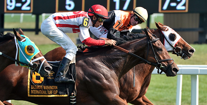 Frontier Market (6) finishes second in the Baltimore/Washington International Turf Cup