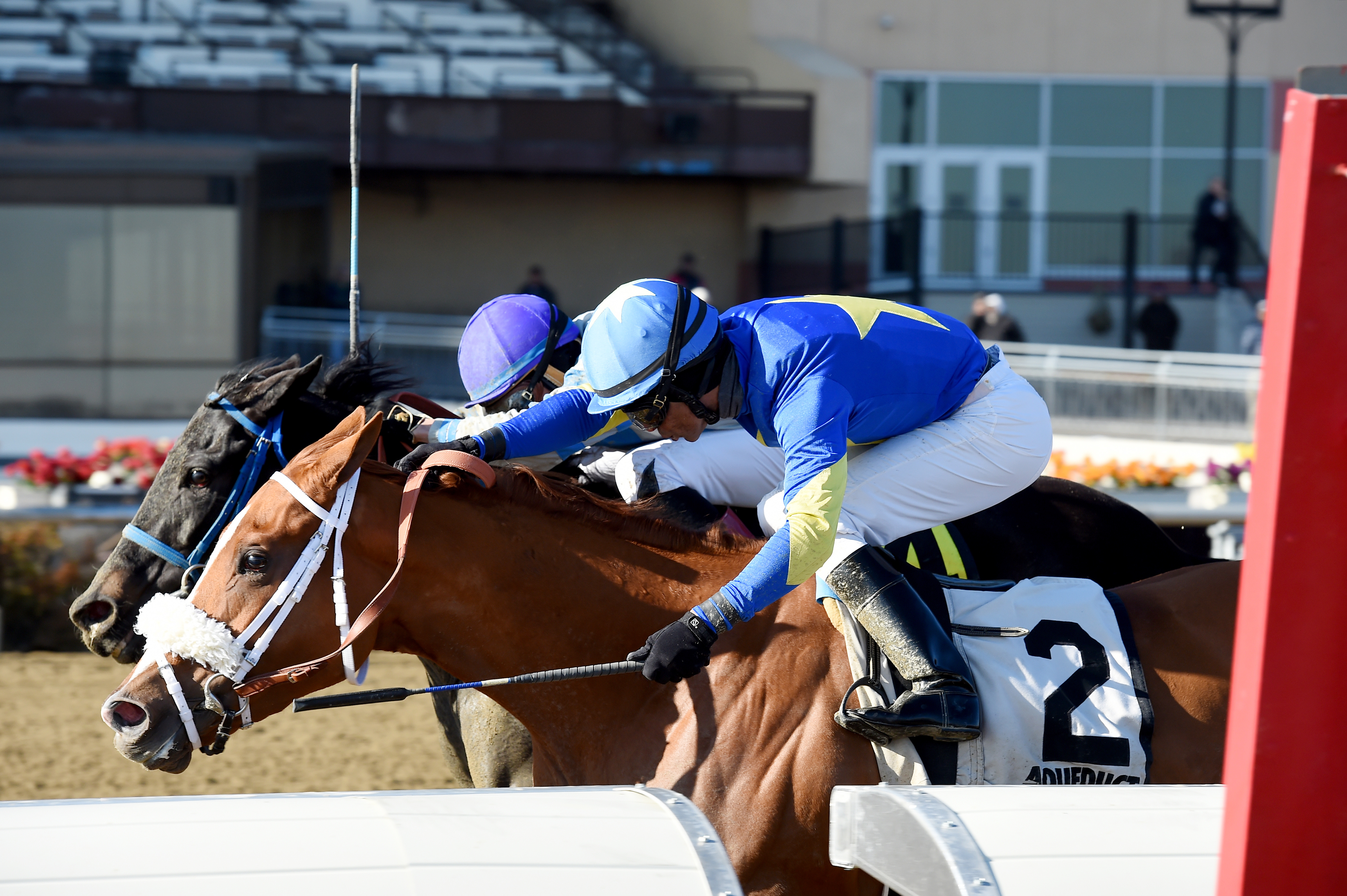 Frost Wise wins the 2018 Bay Ridge Stakes