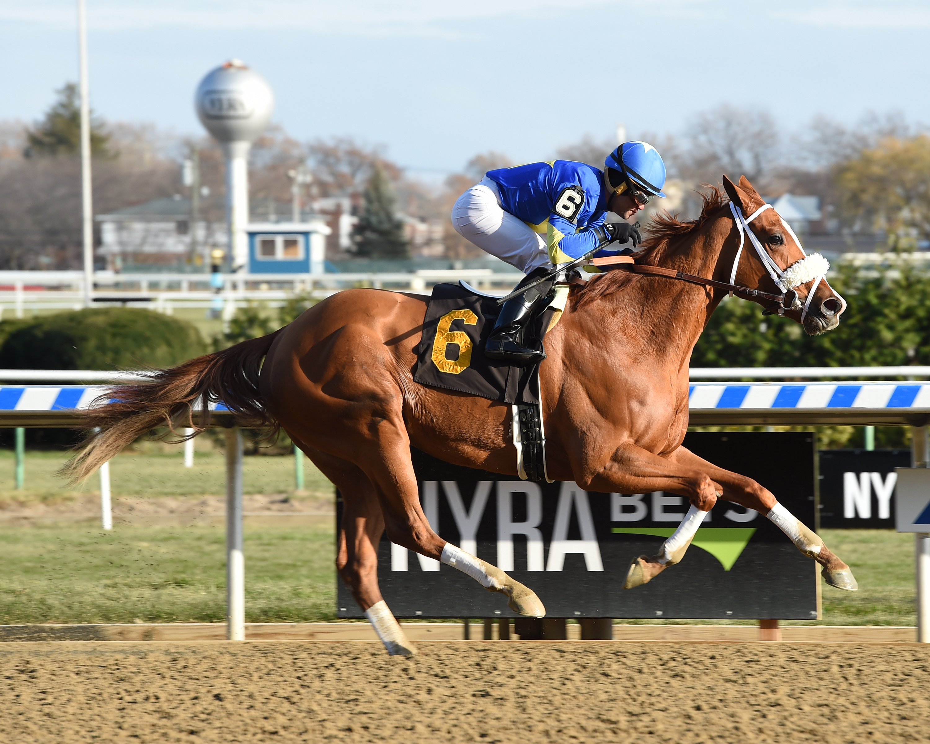 Frost Wise wins a Nov. 30 allowance race