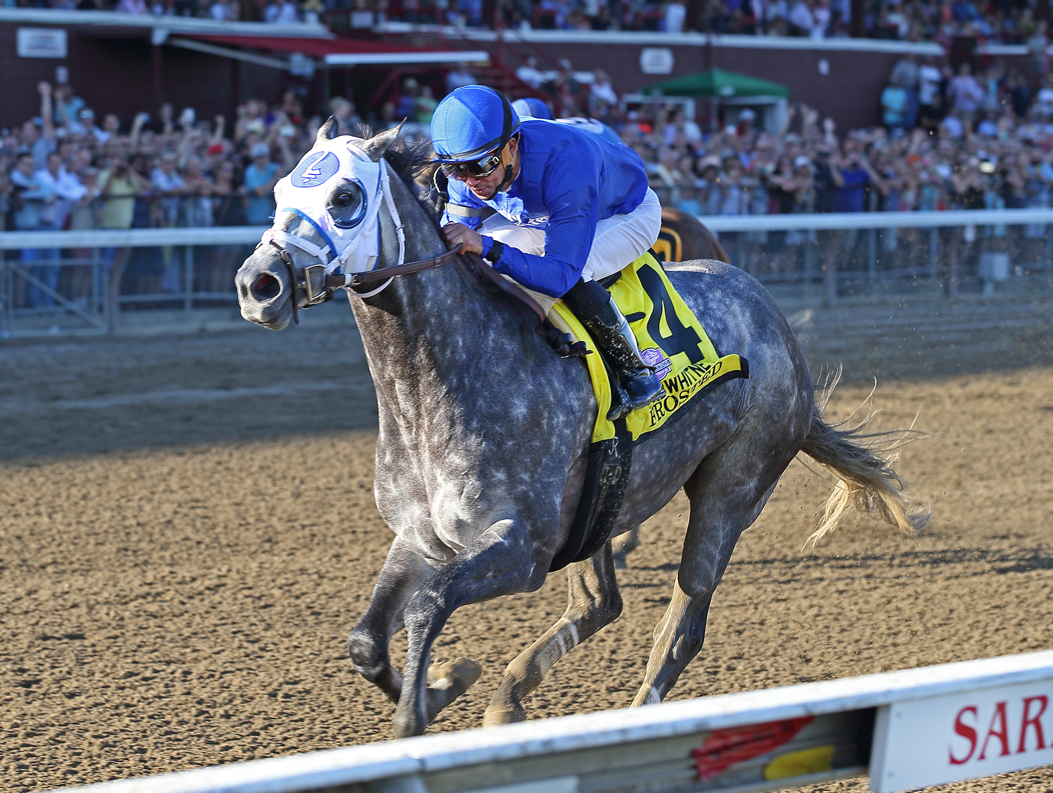 Frosted 8-6-2016