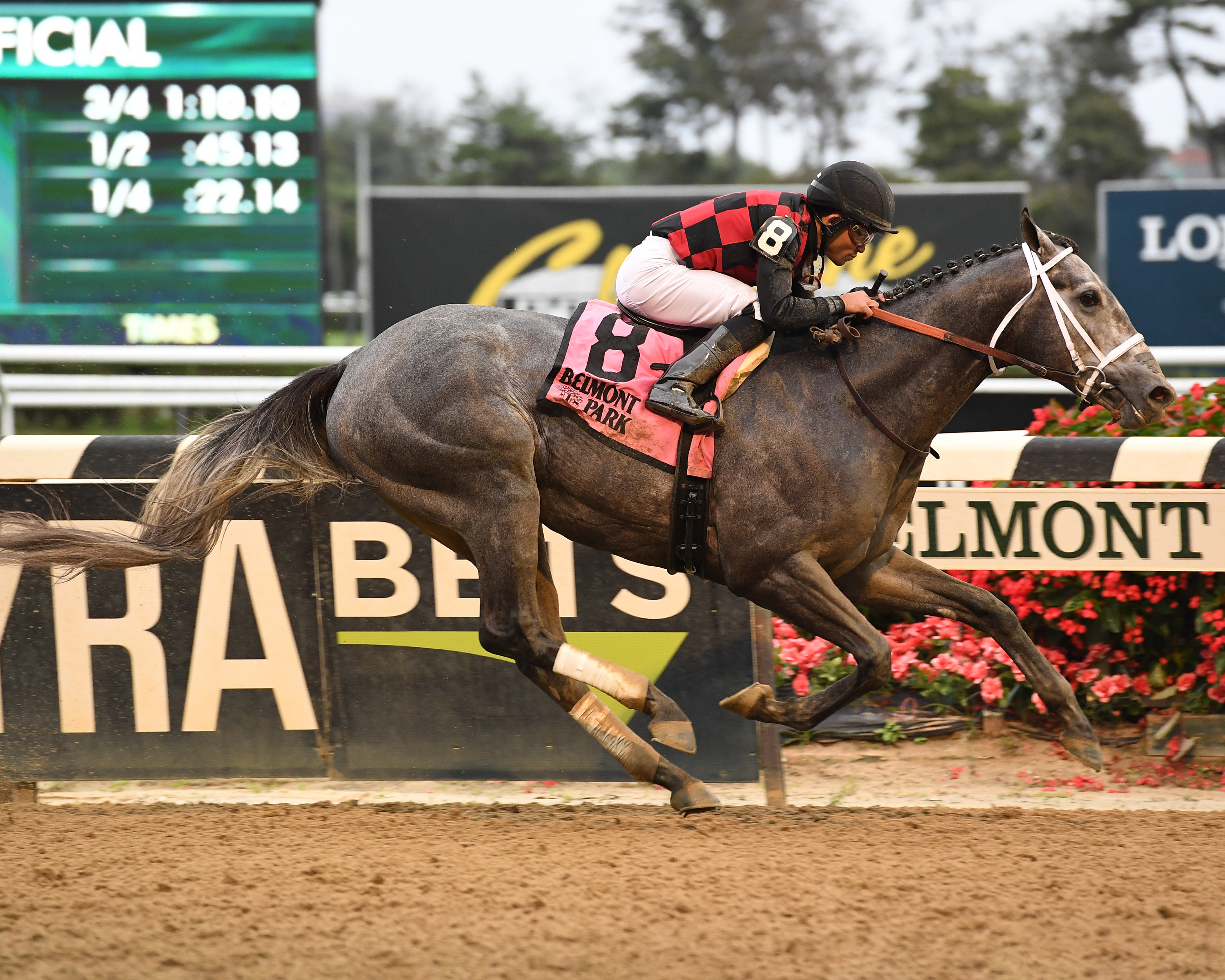 Frosted Ice wins 2018 Bertram F. Bongard Stakes