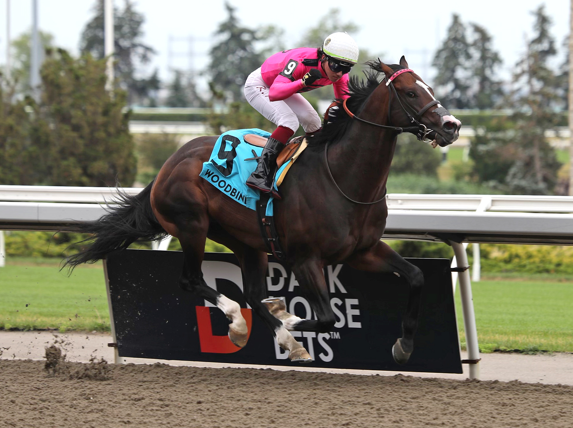 Frosted Over takes the Dominion Day at Woodbine on July 1 2022