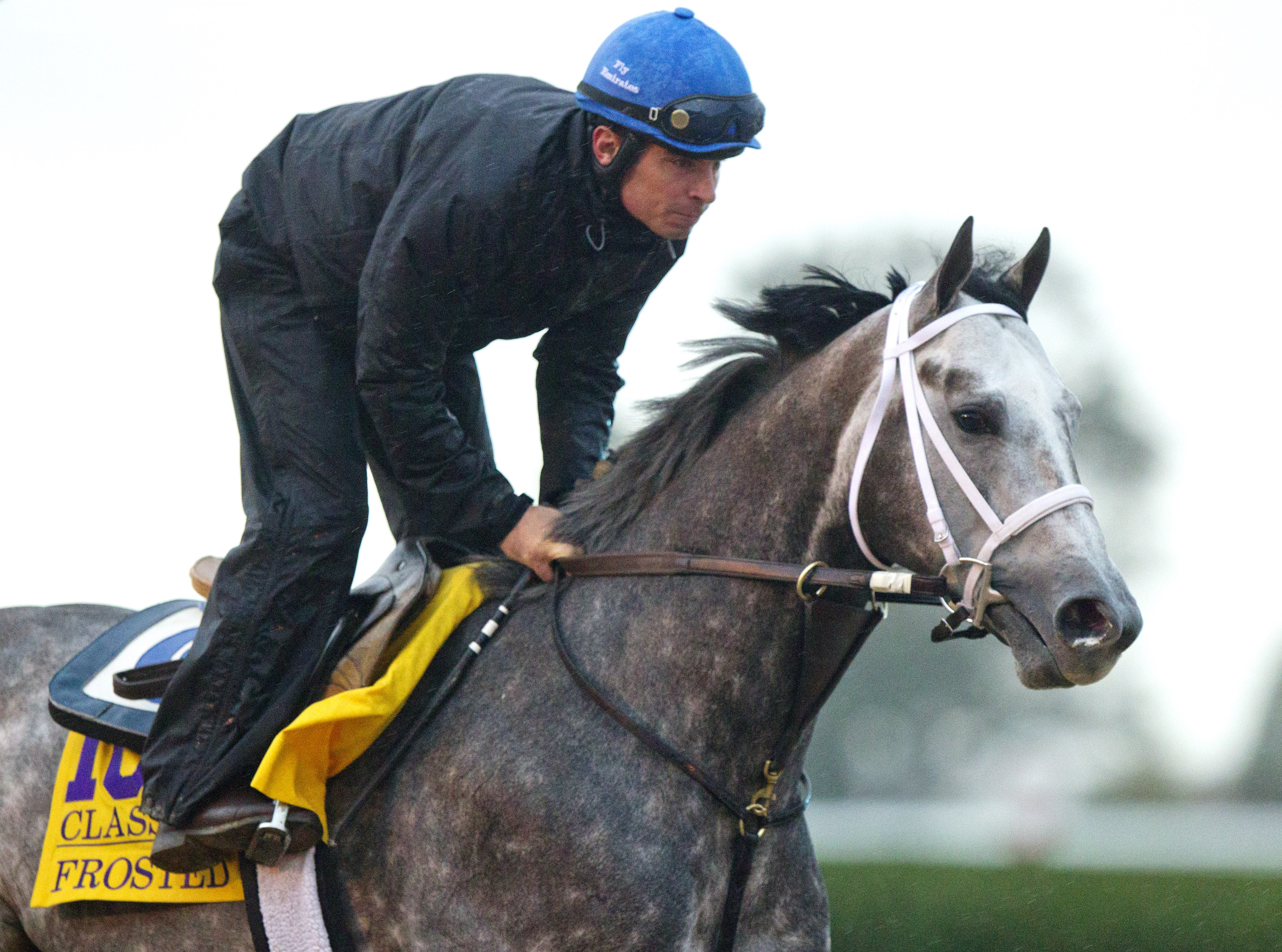 Frosted trains at Keeneland on Oct. 28