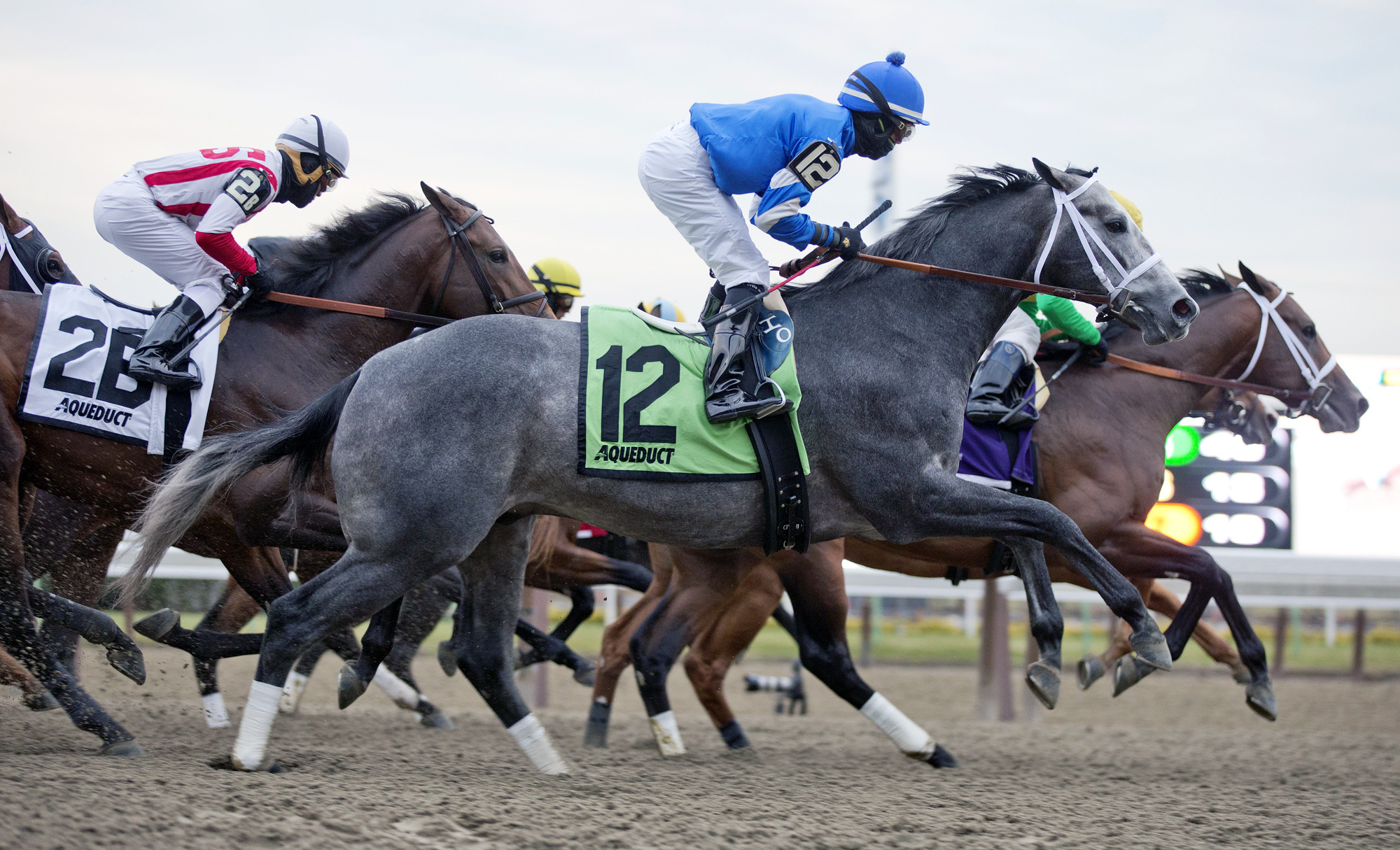 Frosted finishes second in the Remsen