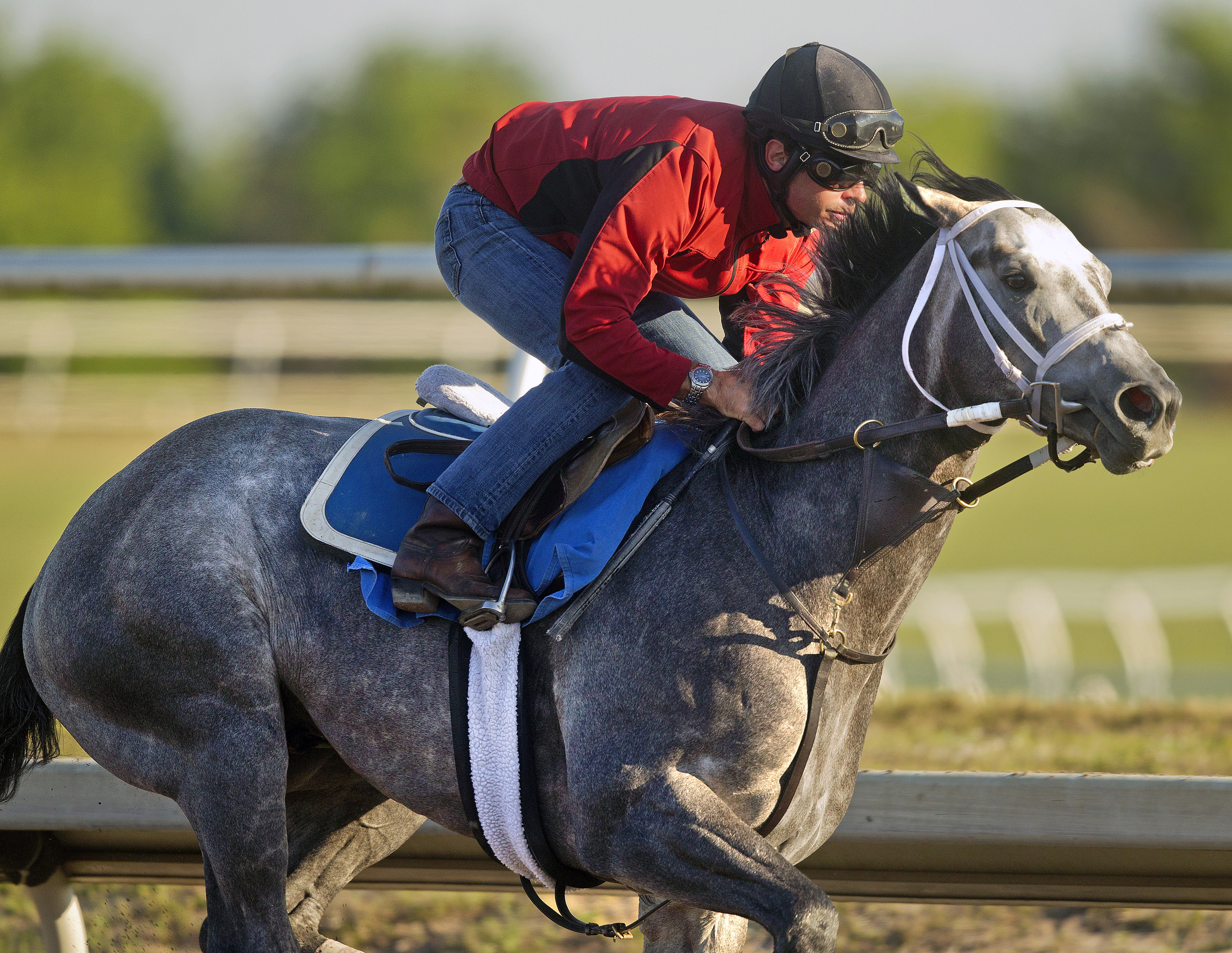 Frosted works March 29 at Palm Meadows