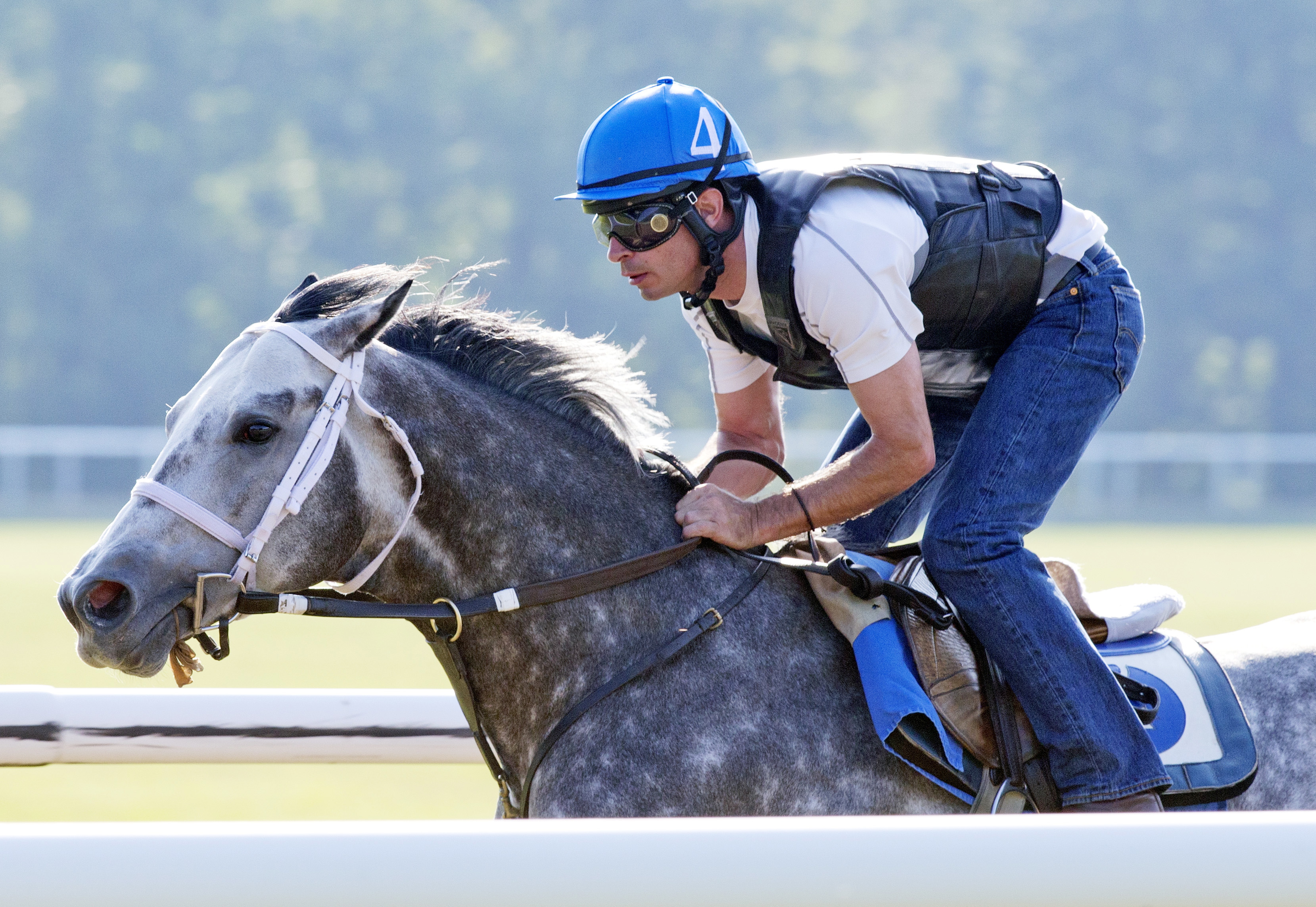 Frosted trains at Greentree on July 22
