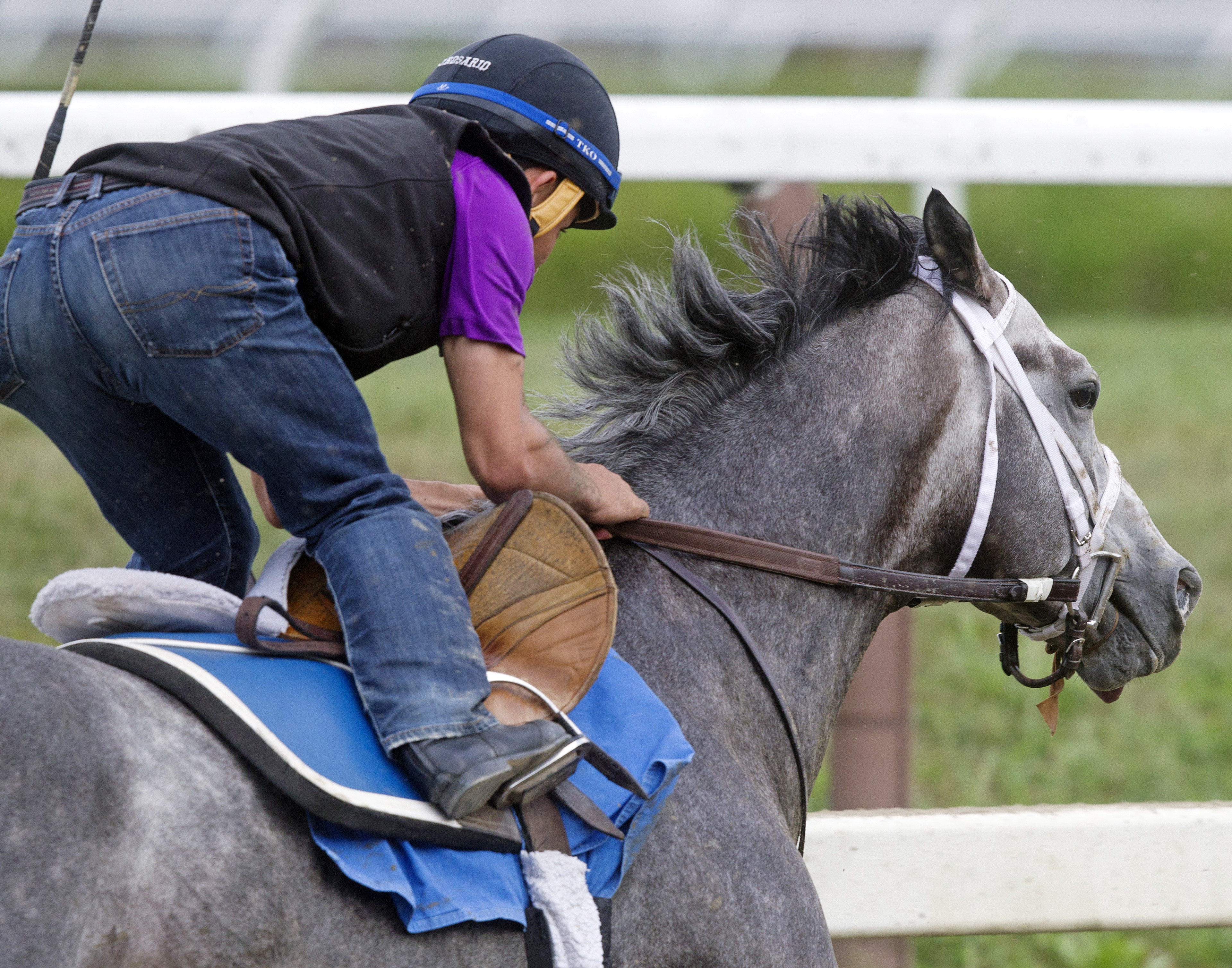 Frosted trains at Saratoga on August 20