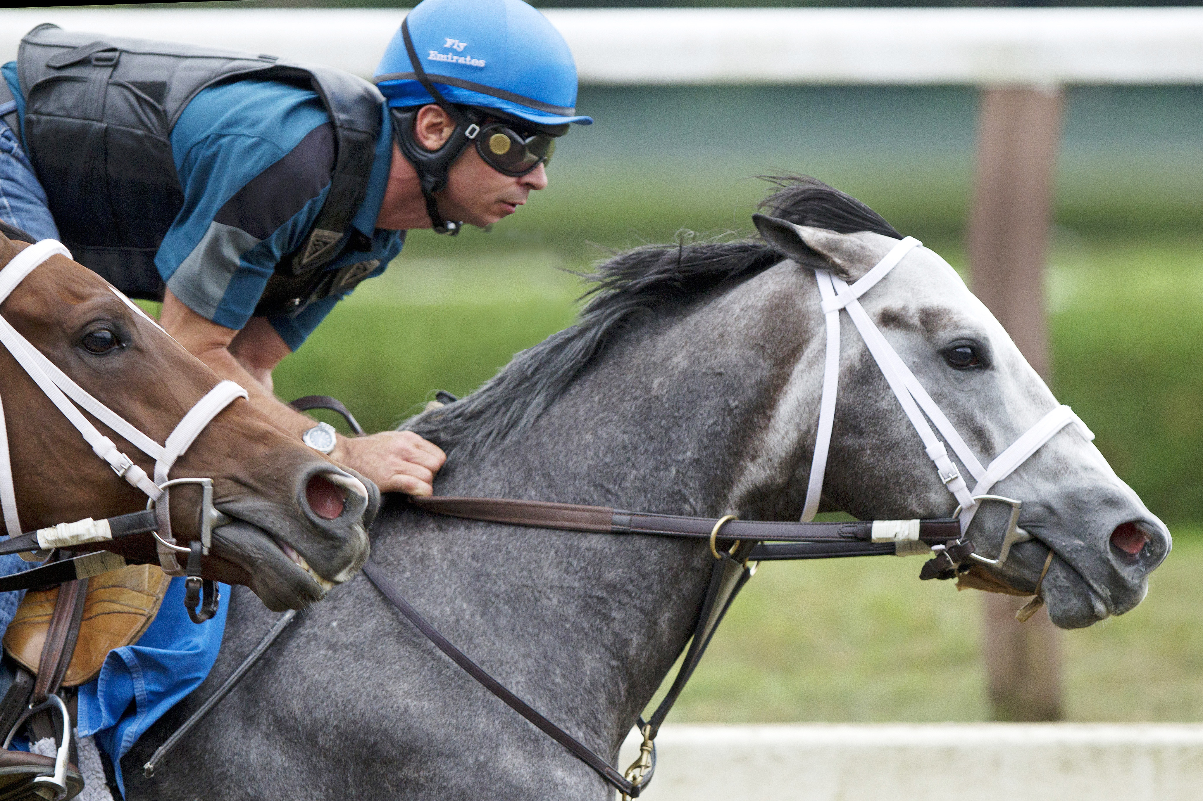 Frosted trains at Saratoga on Sept. 10