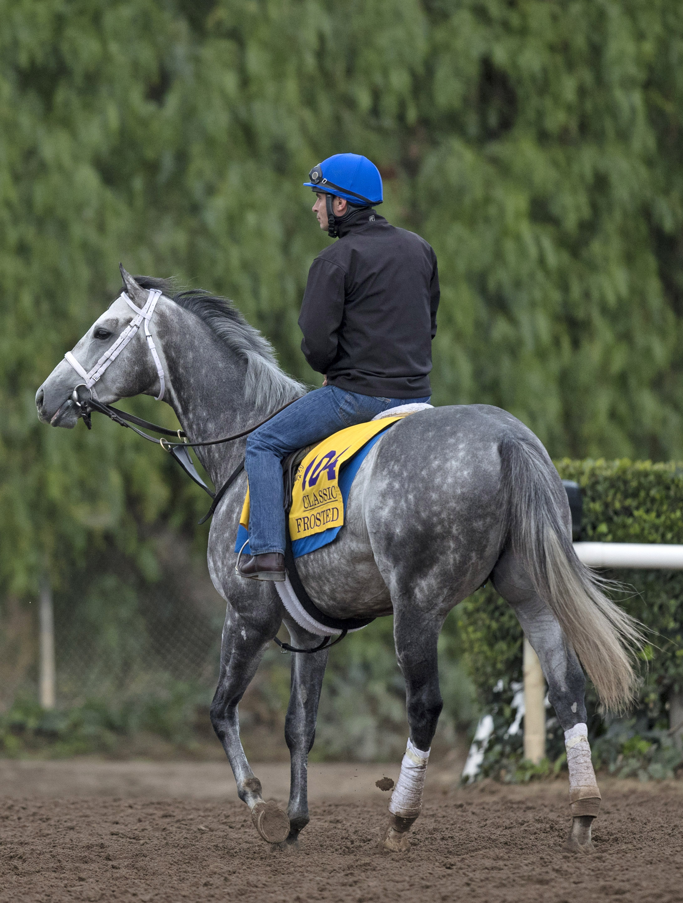 Frosted at Santa Anita on Oct. 31