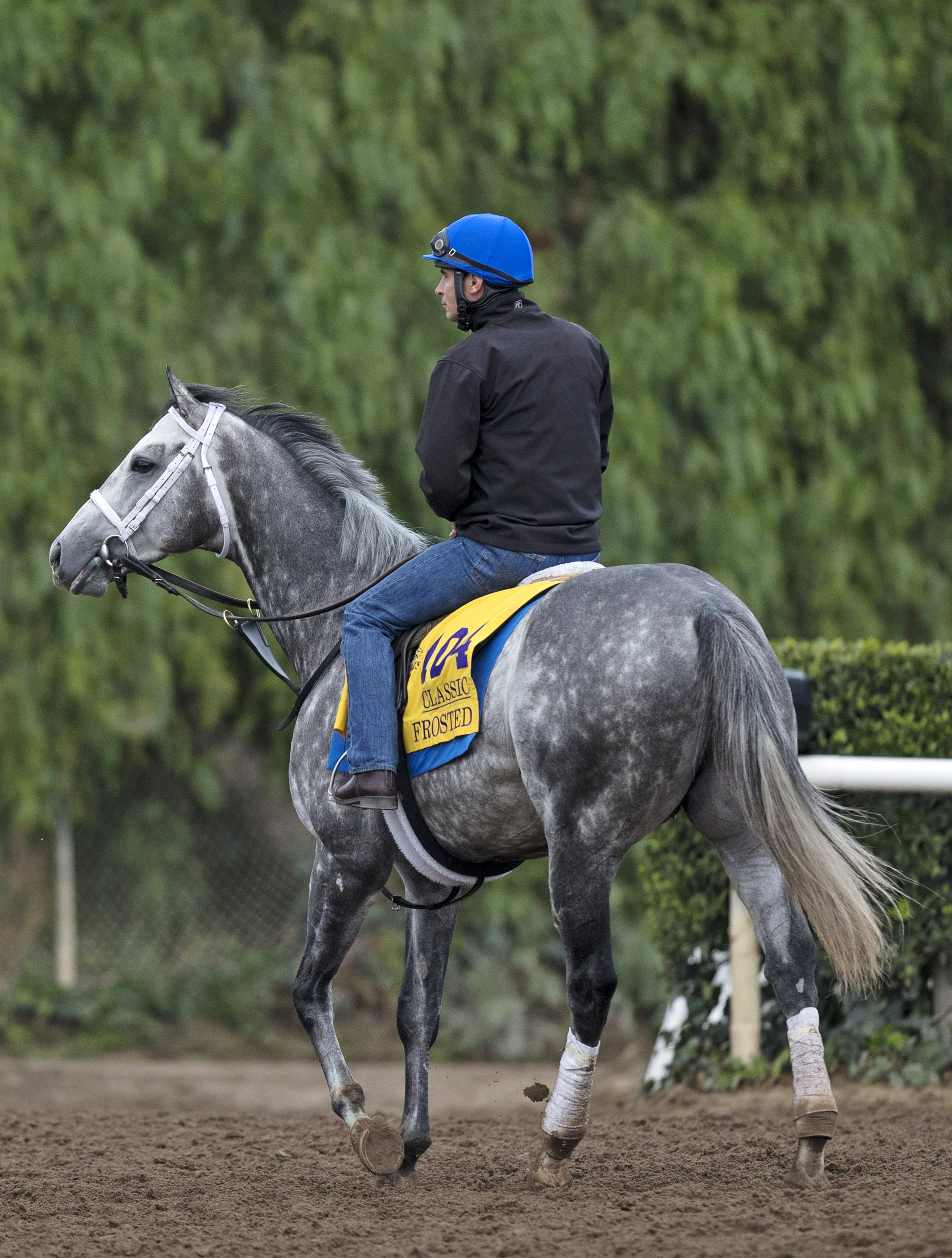 Grade 1 winner Frosted retired at 4