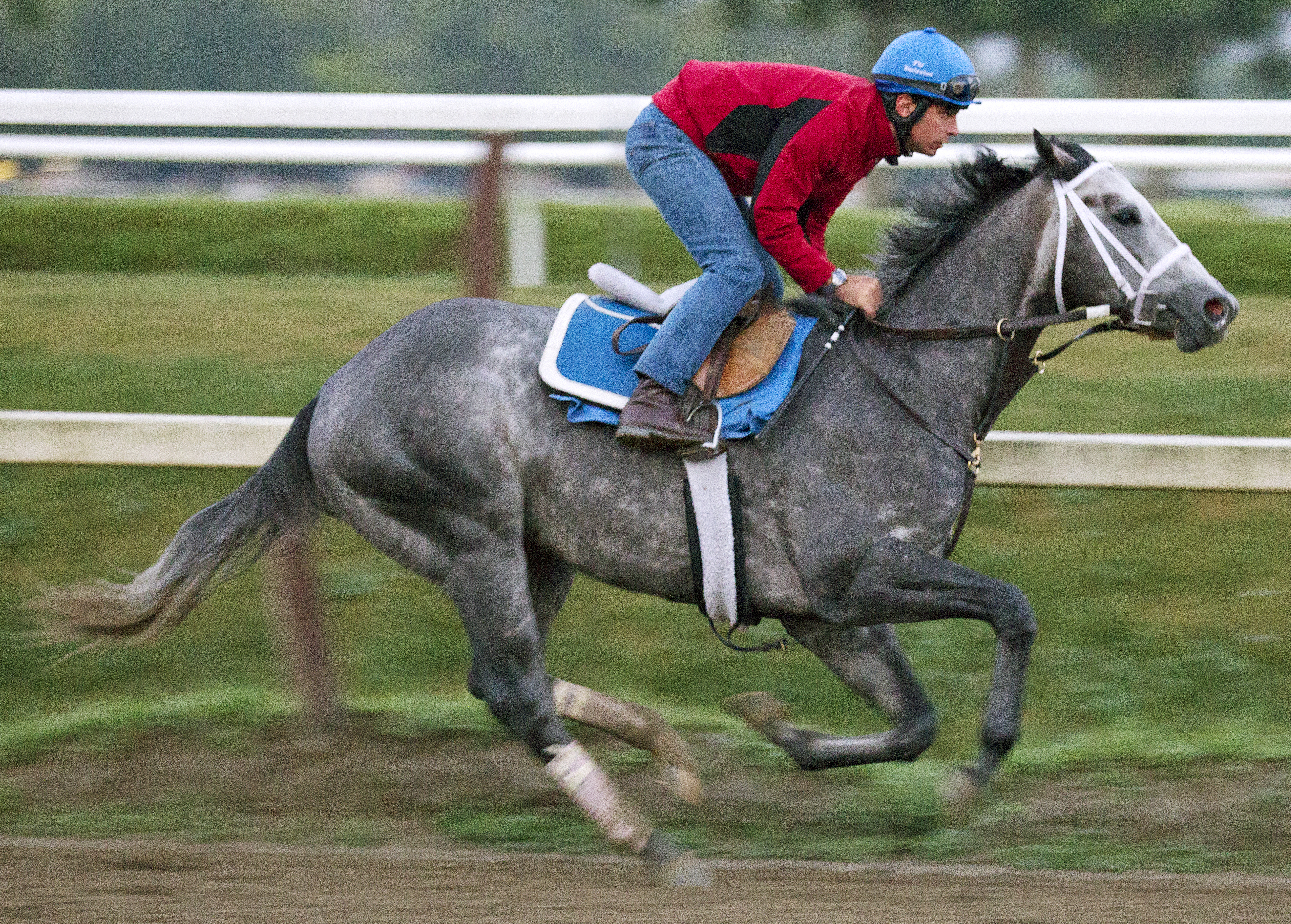 Frosted works at Saratoga on August 14