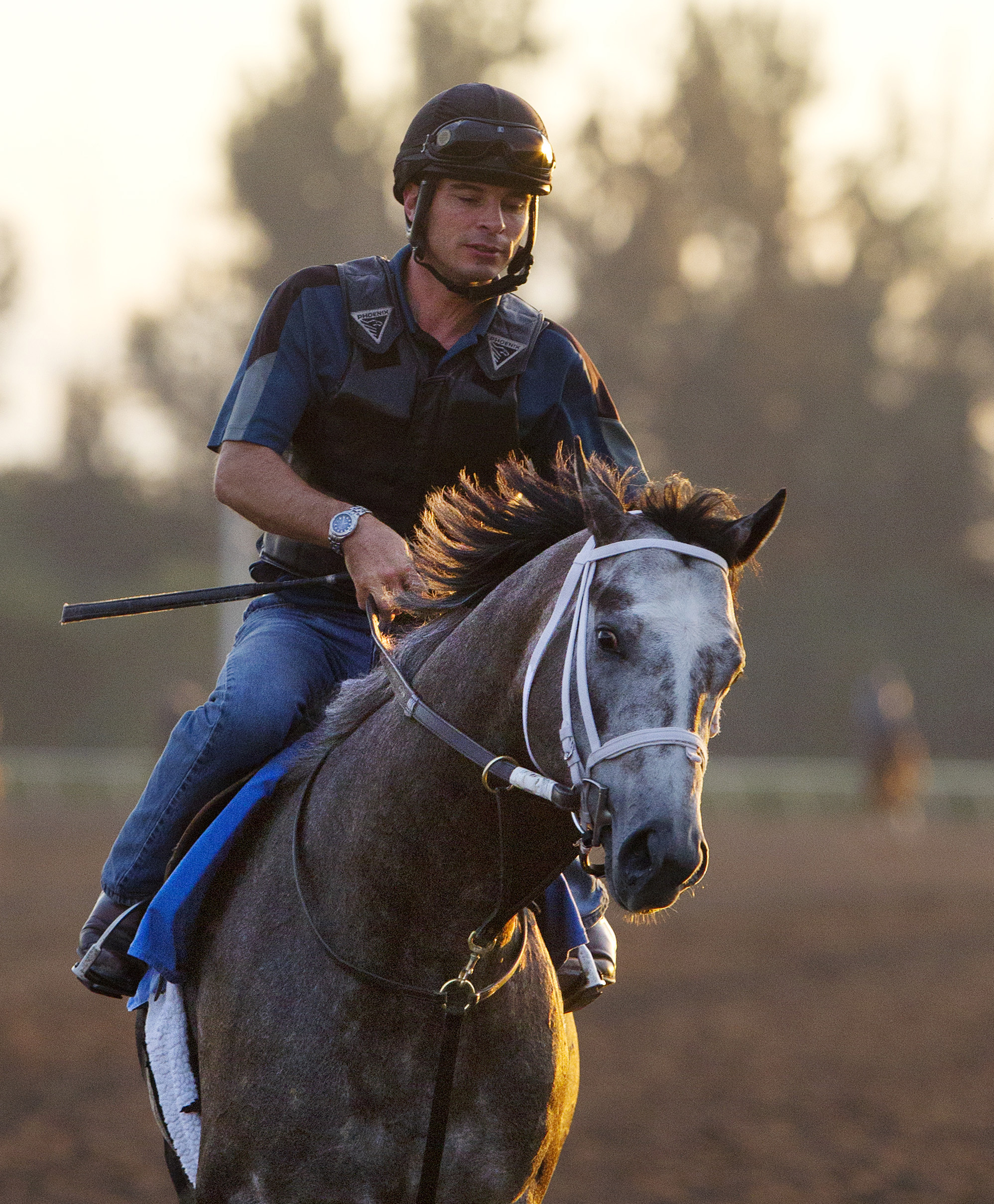 Frosted at Palm Meadows on Jan. 22