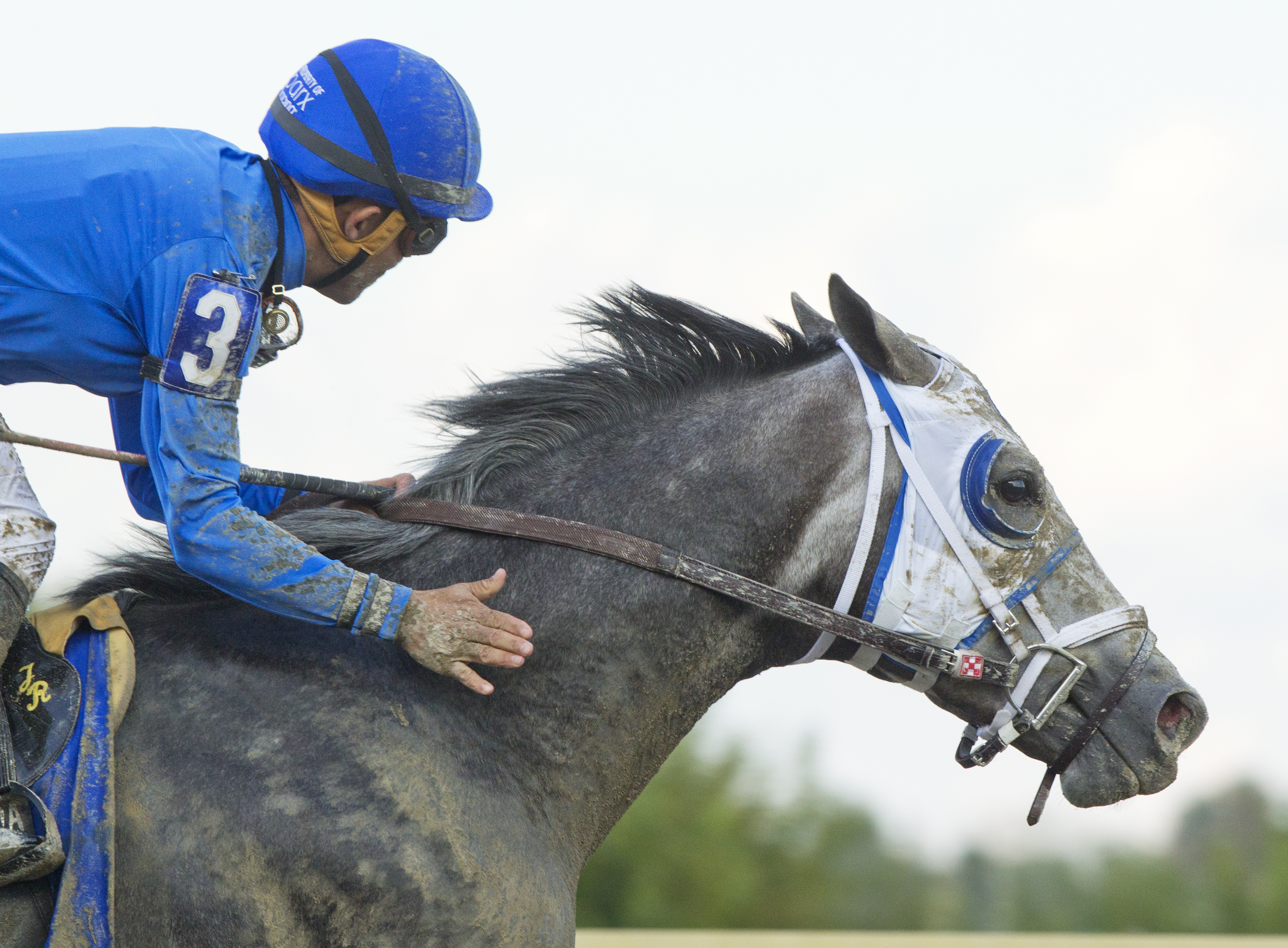 Frosted 9-19-2015