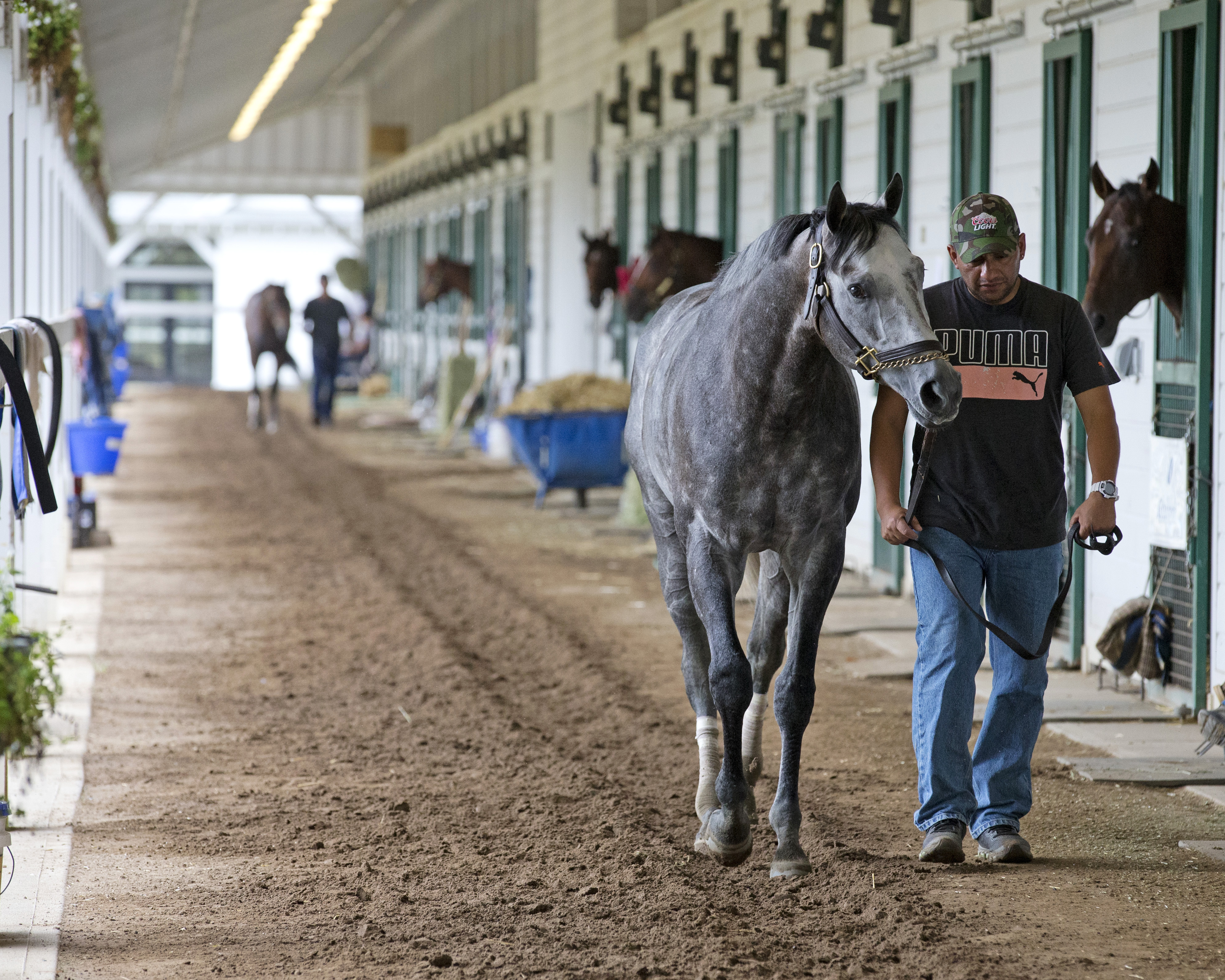 Frosted at Saratoga on Sept. 10