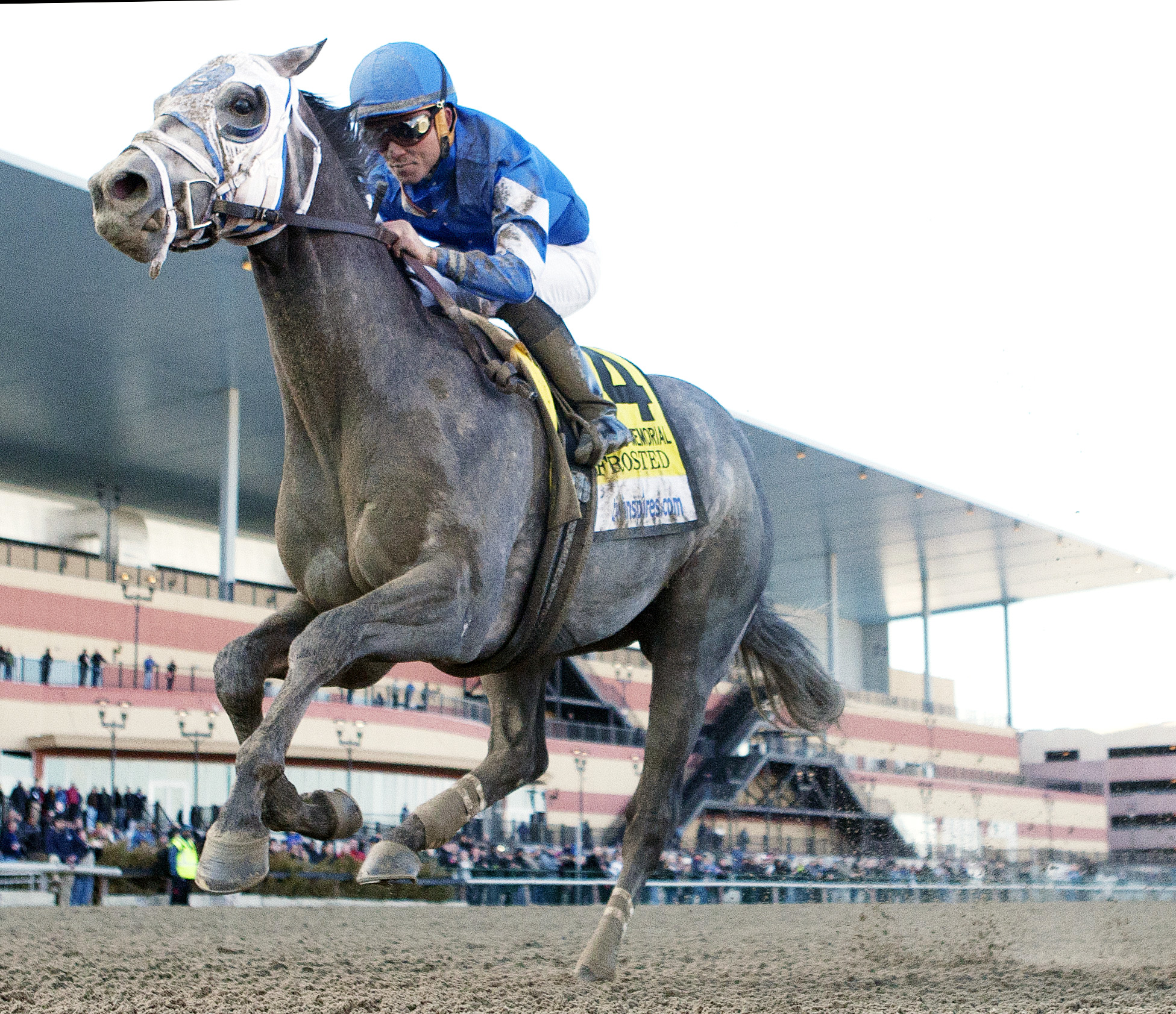 Frosted wins the Wood Memorial