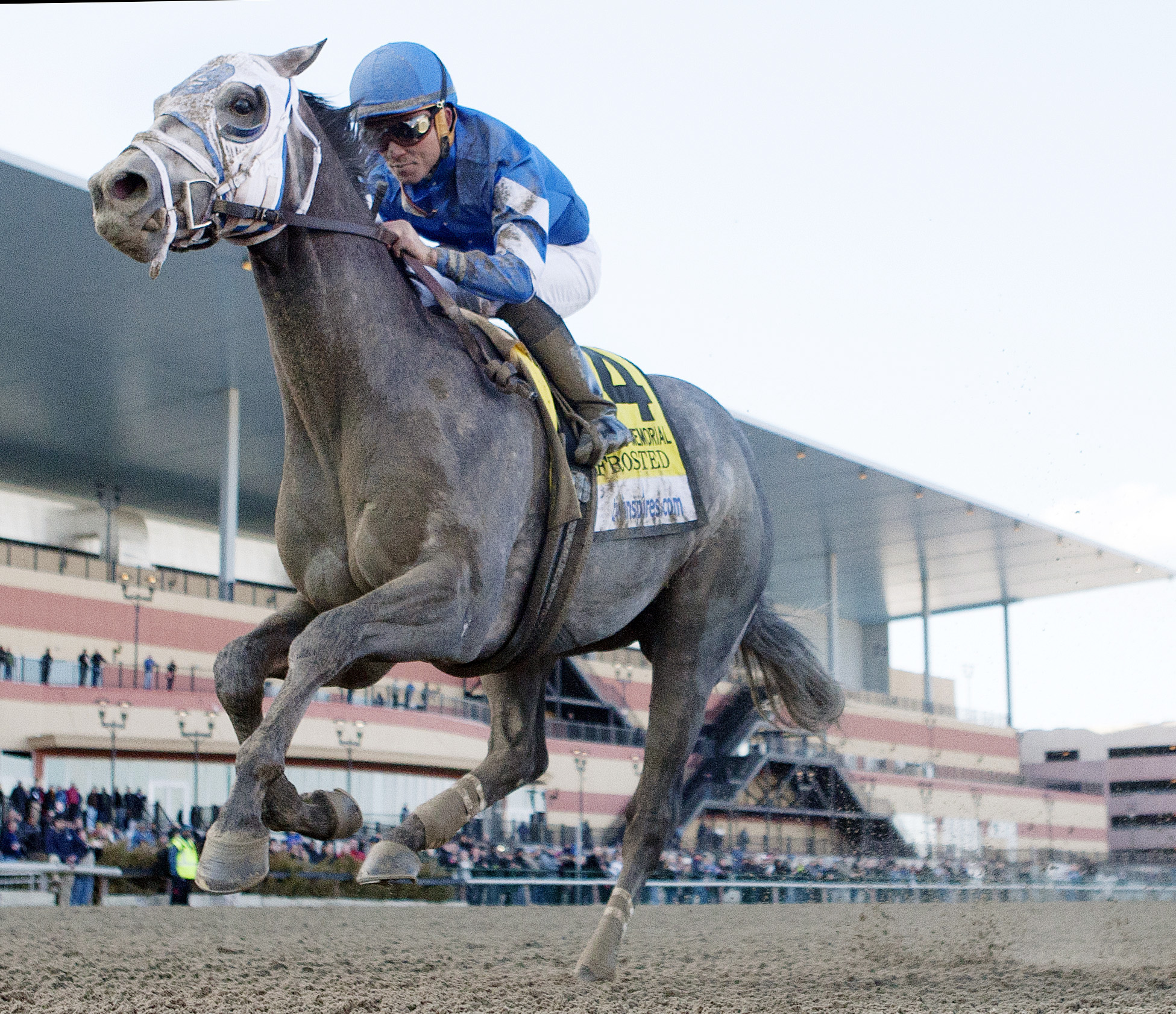 Frosted wins the Wood Memorial