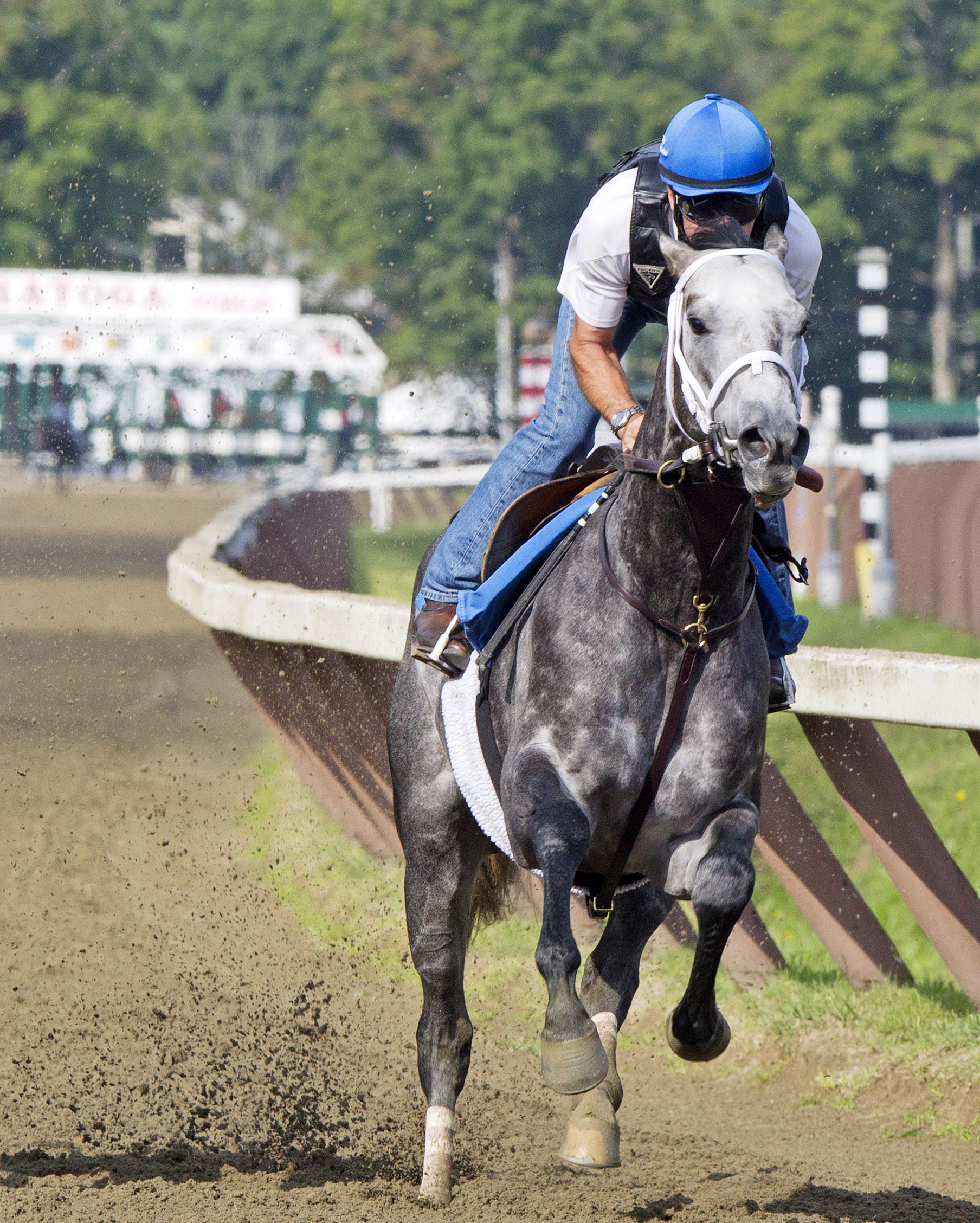 Frosted at Saratoga on July 25