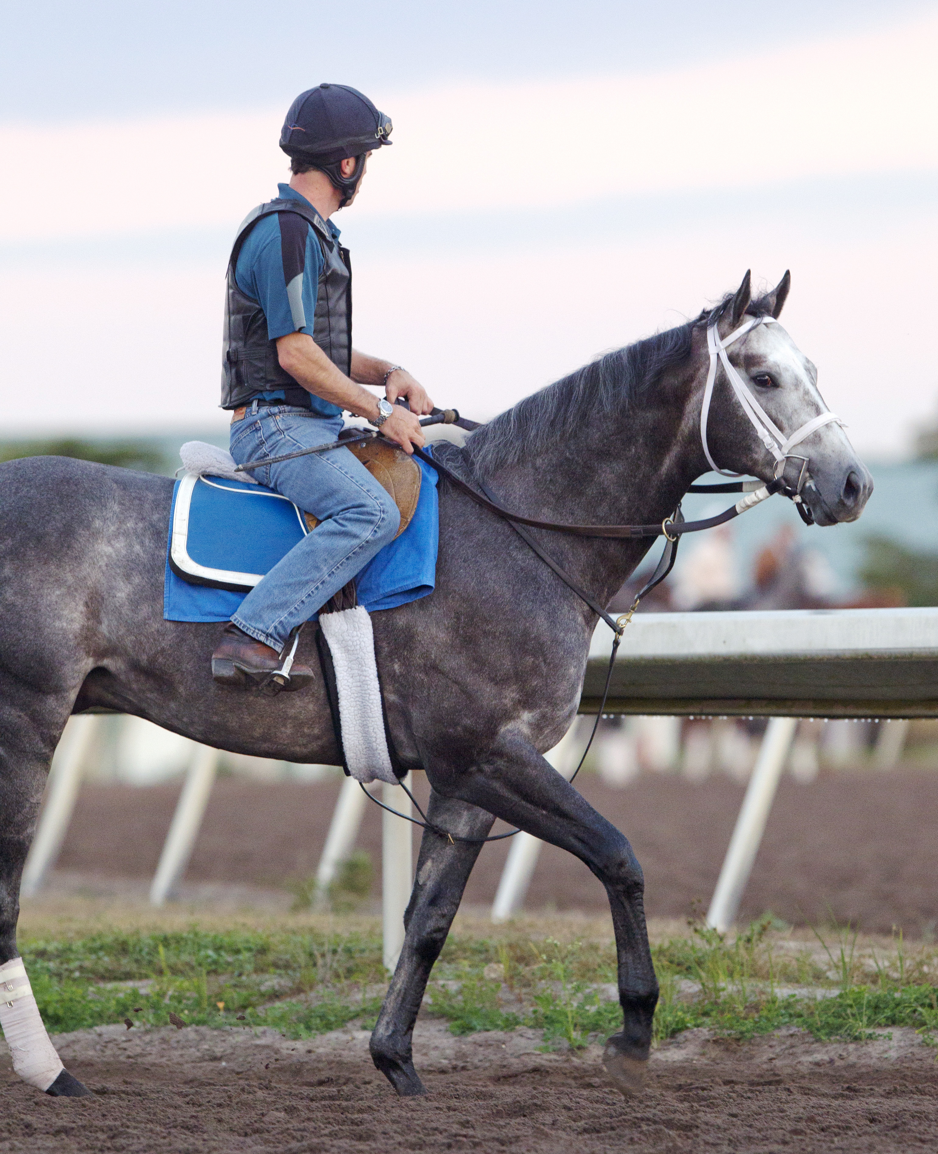 Frosted at Palm Meadows on Jan. 22