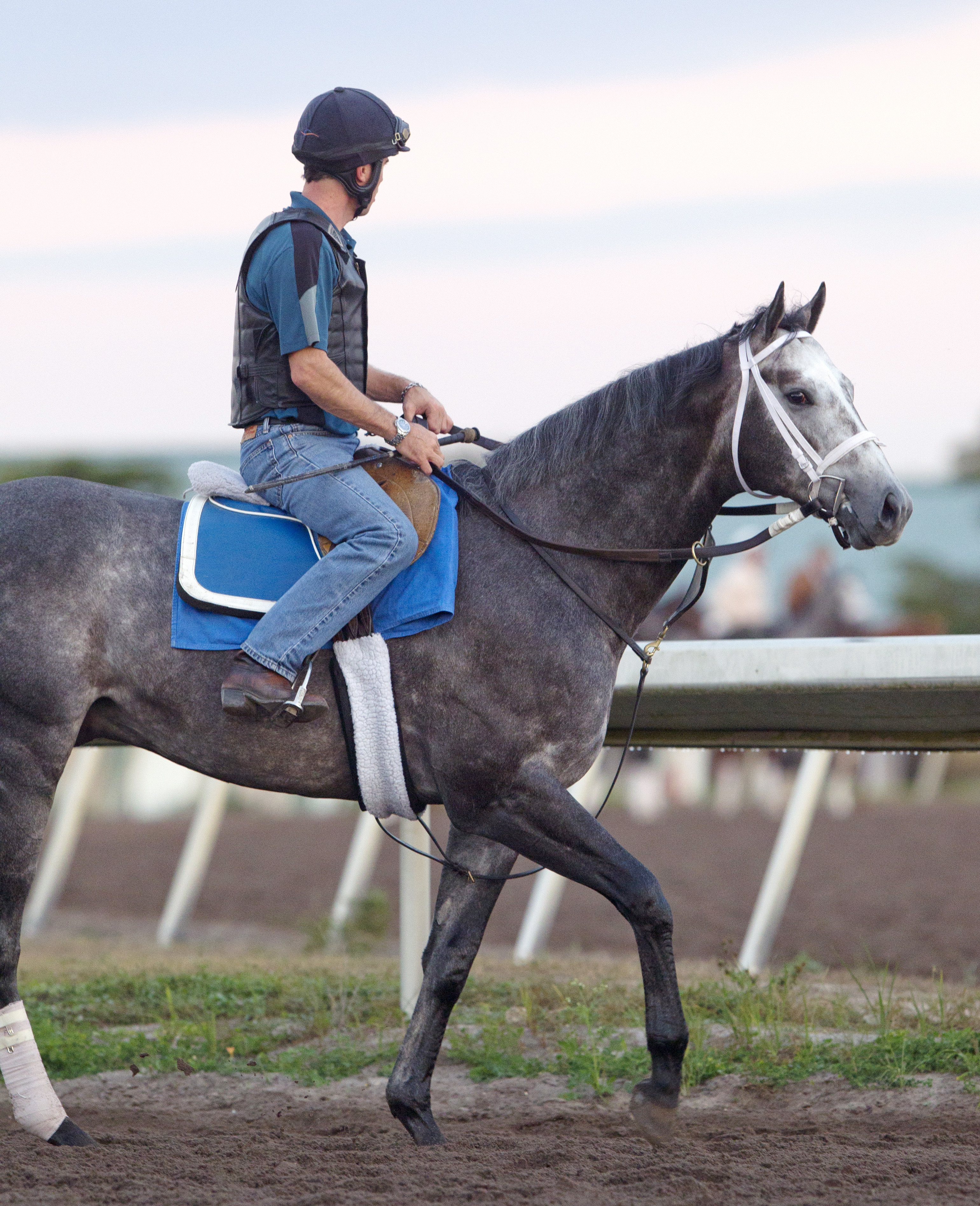 Frosted at Palm Meadows on Jan. 22