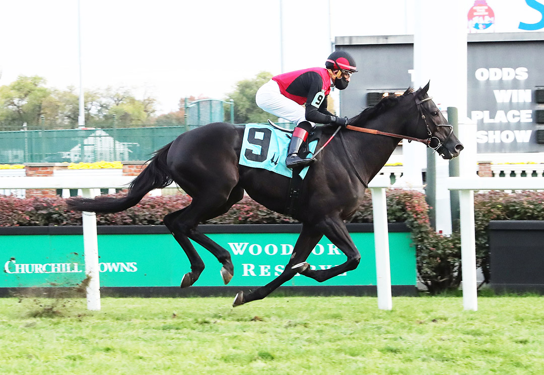 Frostmourne wins a Nov. 5 allowance at Churchill Downs