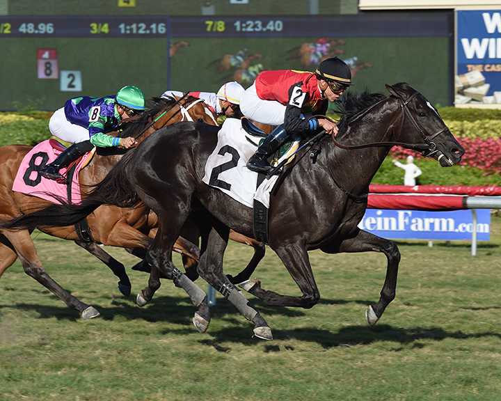 Frostmourne wins a March 16 allowance at Gulfstream