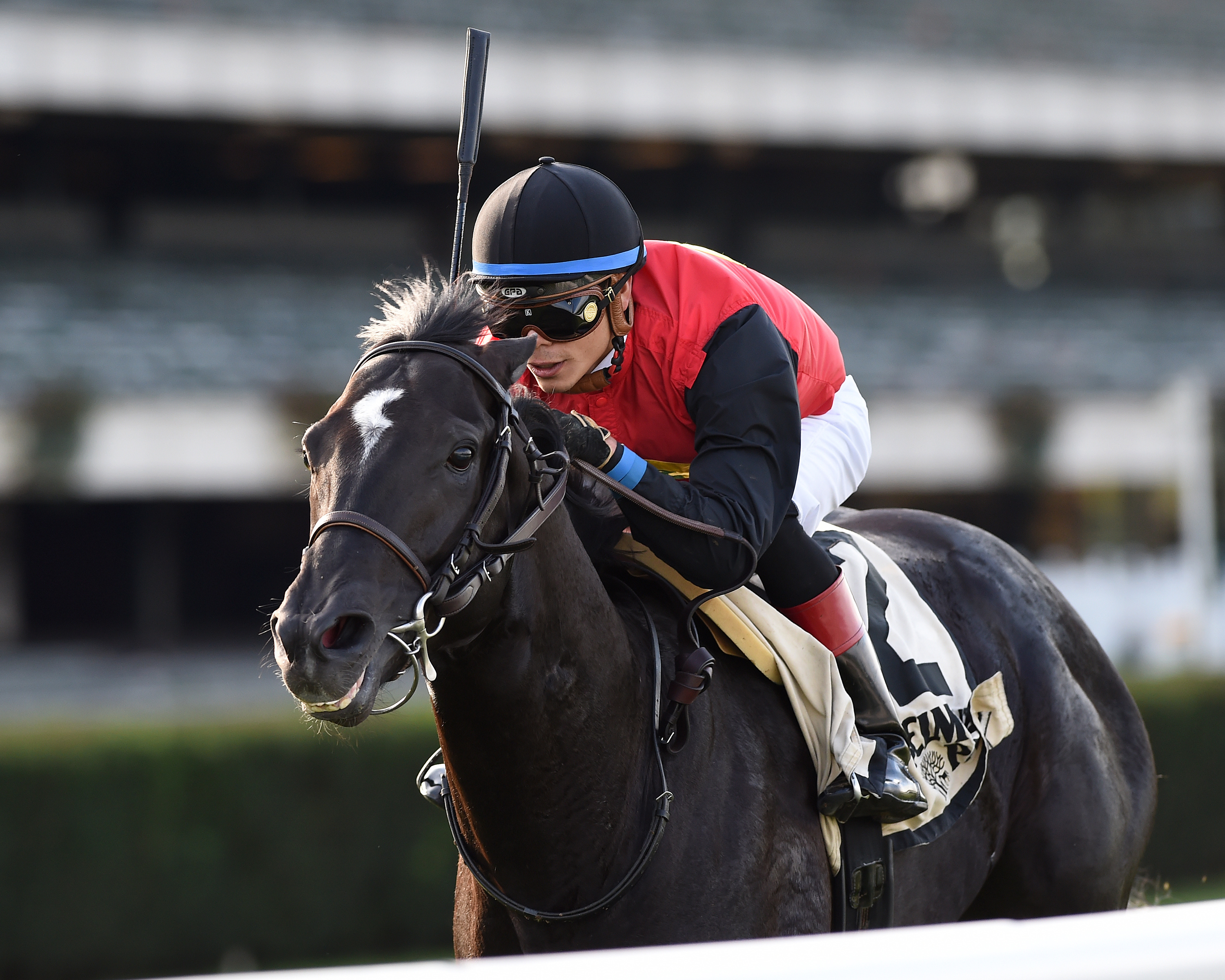 Frostmourne wins the Awad Stakes