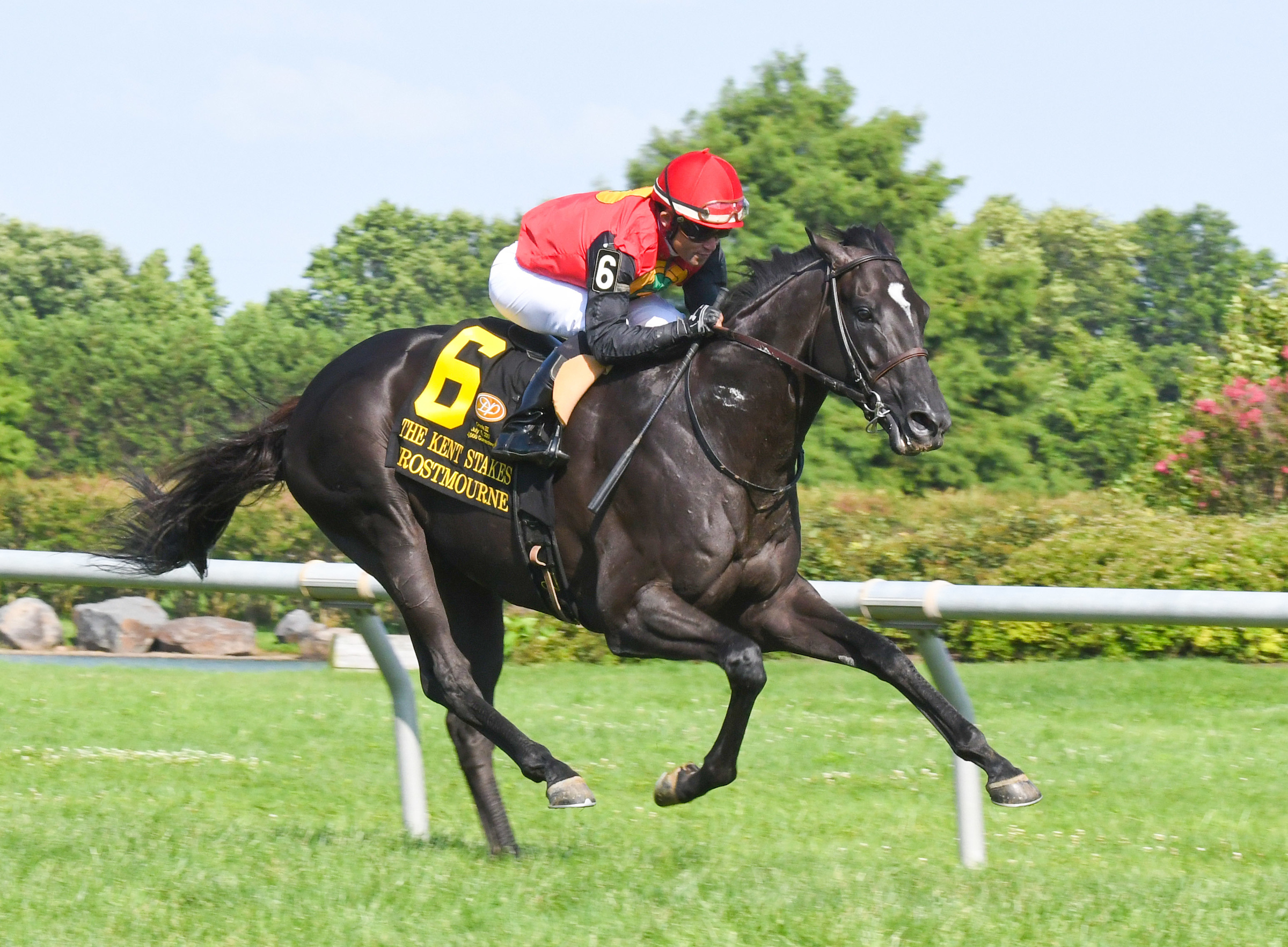Frostmourne_2017_Kent_Stakes_Delaware_Park_HI