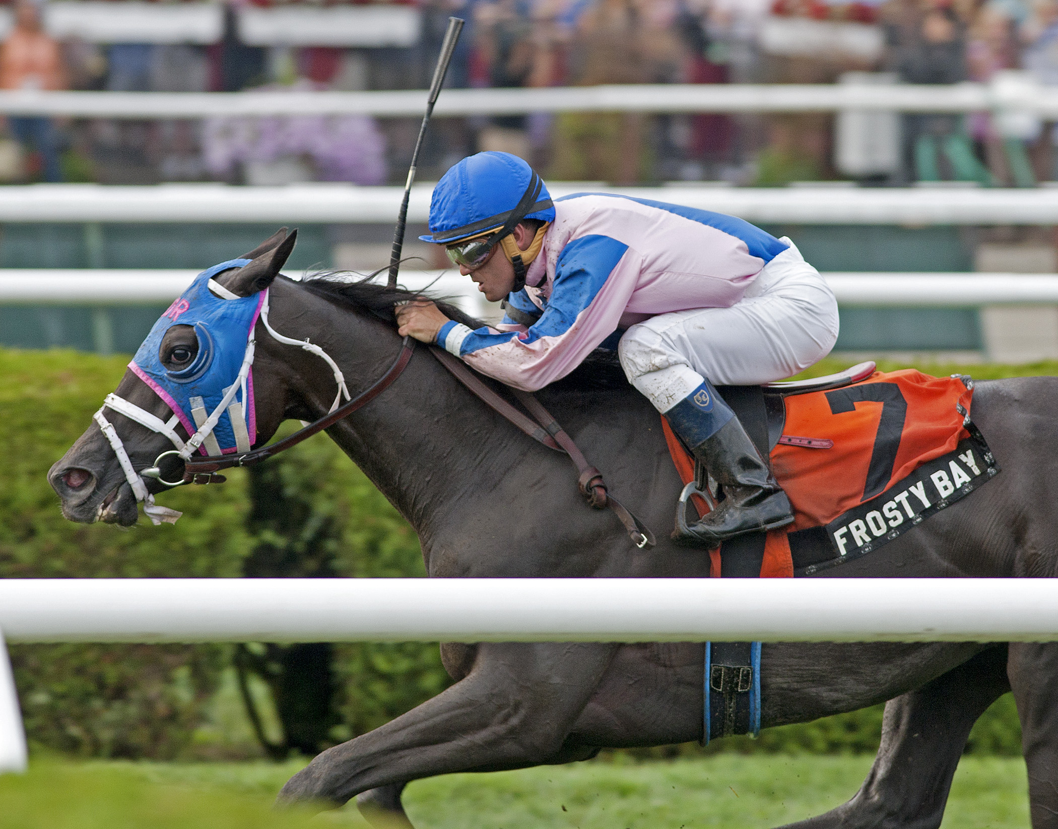 Frosty Bay/Statue of Liberty division of the New York Stallion Stakes