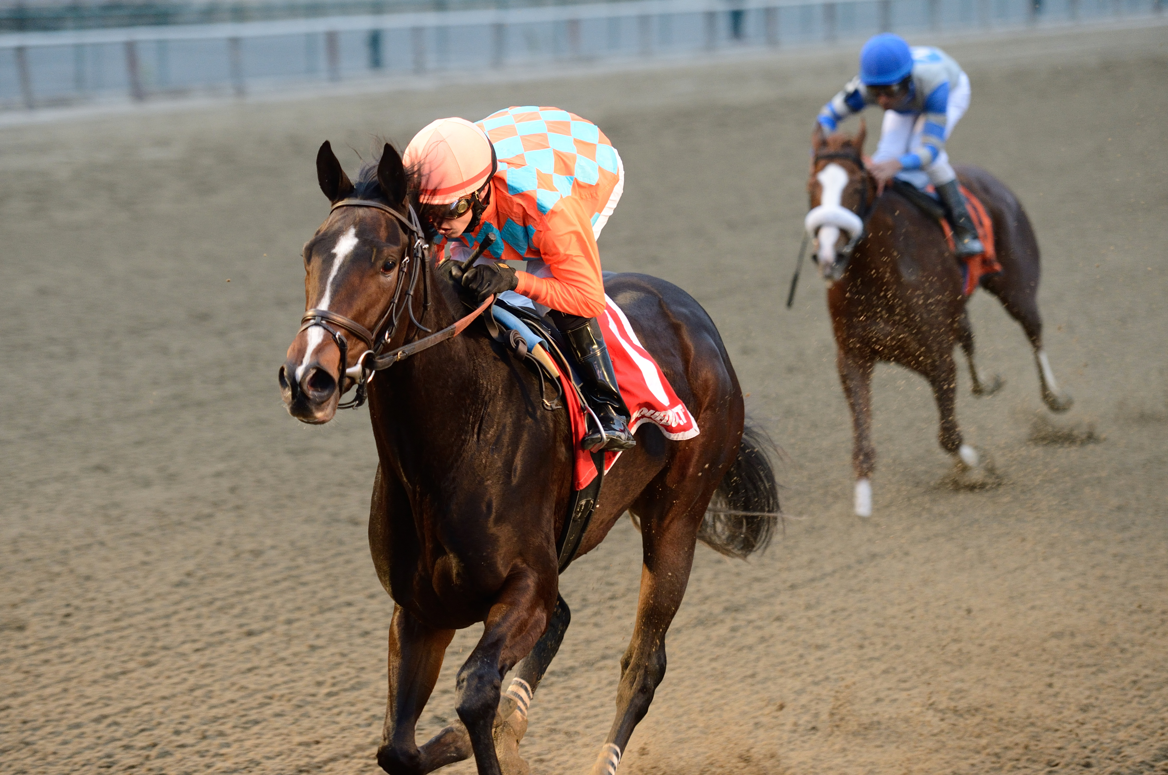 Frosty Margarita wins the Key Cents