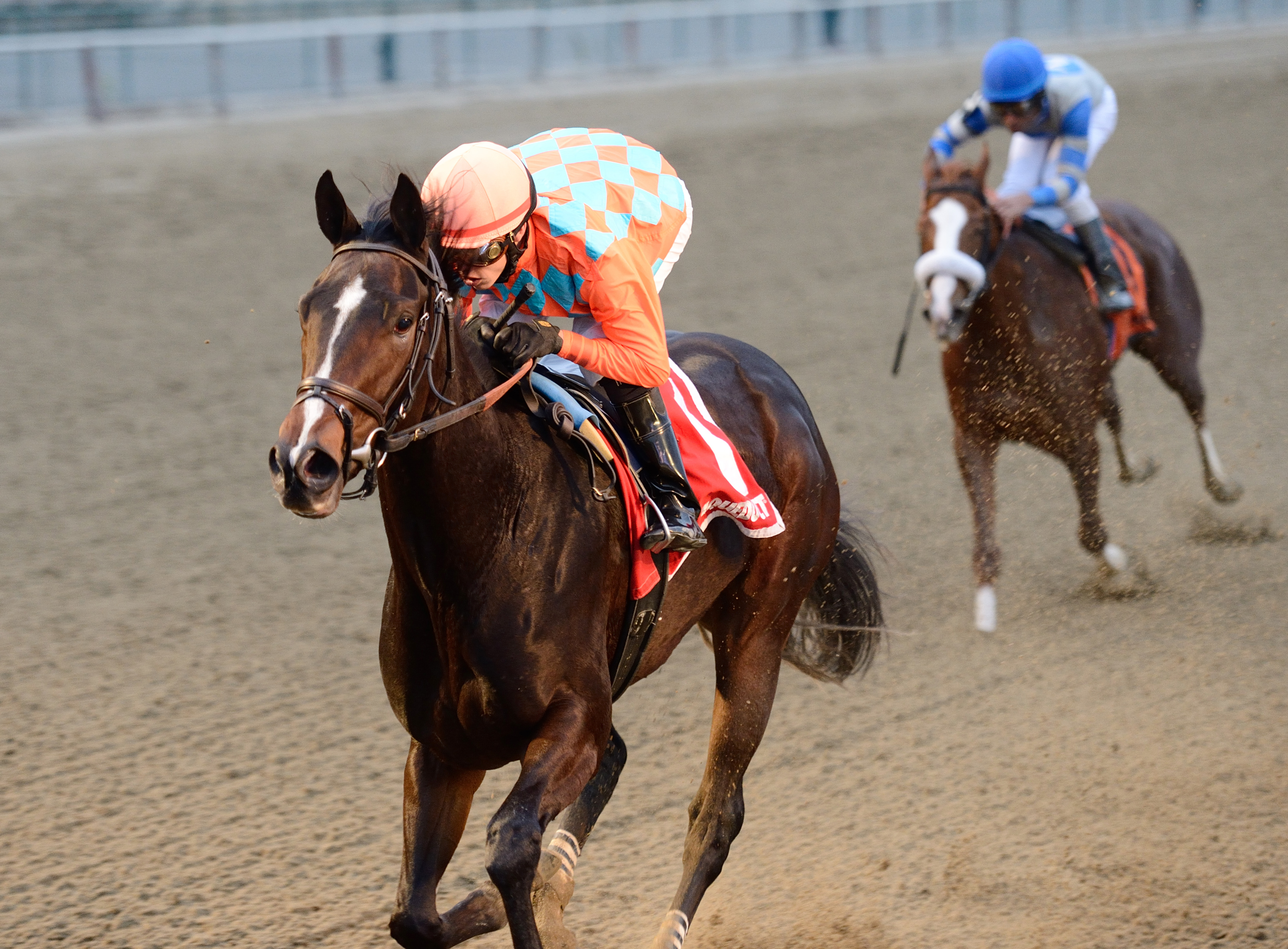 Frosty Margarita wins the Key Cents Stakes