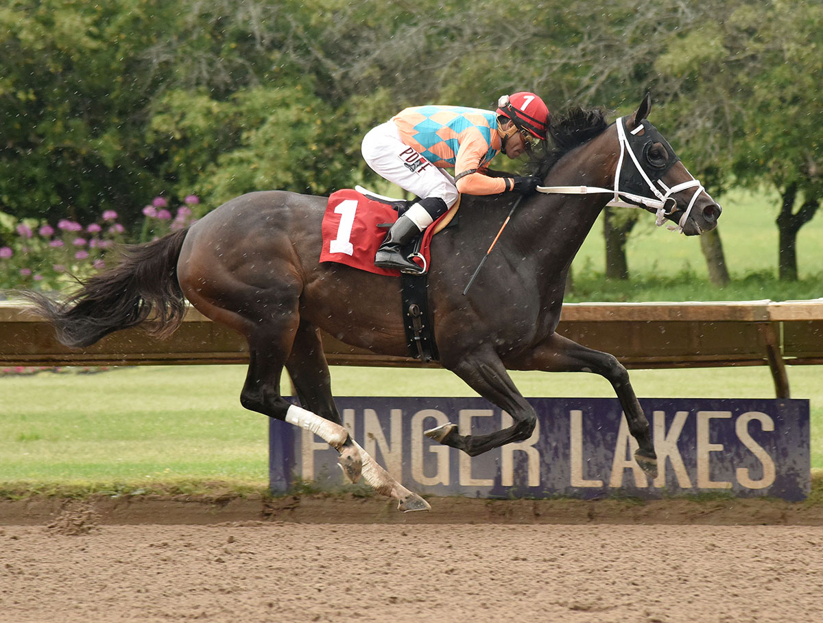 Frosty Margarita wins the 2018 Jack Betta Be Rite Stakes