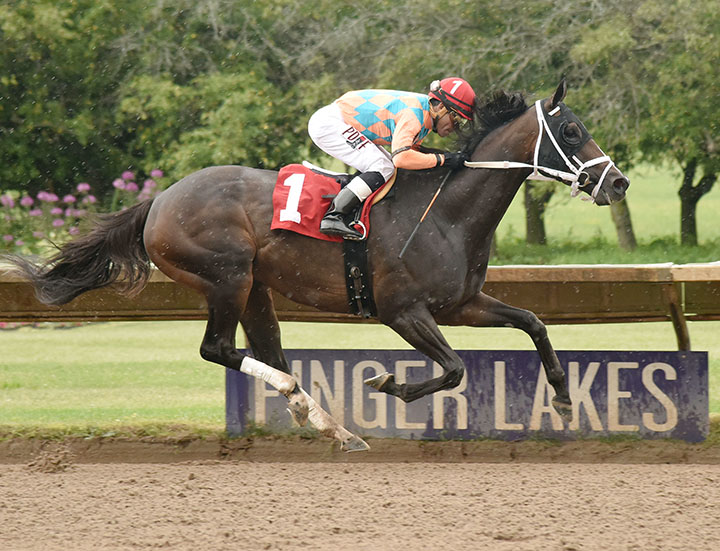 Frosty Margarita wins the 2018 Jack Betta Be Rite Stakes