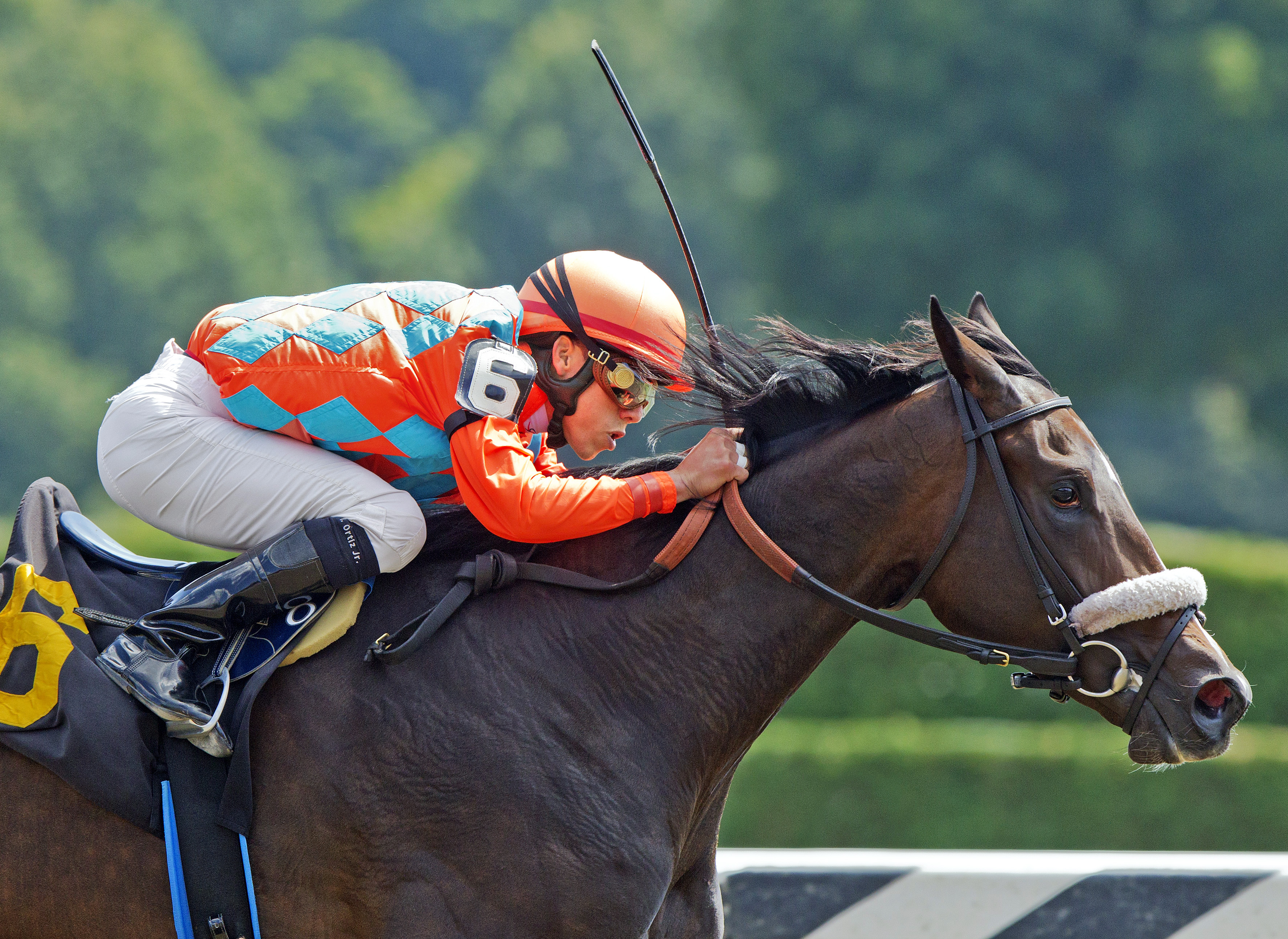 Frosty Margarita wins a maiden race